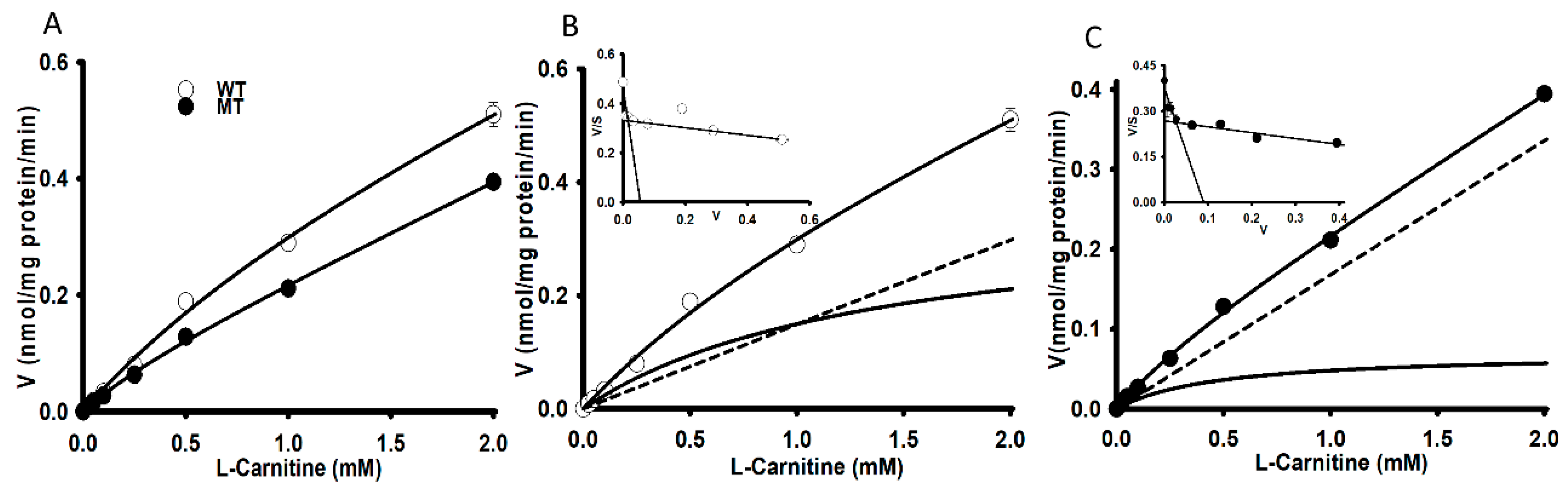Pharmaceutics 13 00551 g002 Pharmaceutics 13 00551 g002