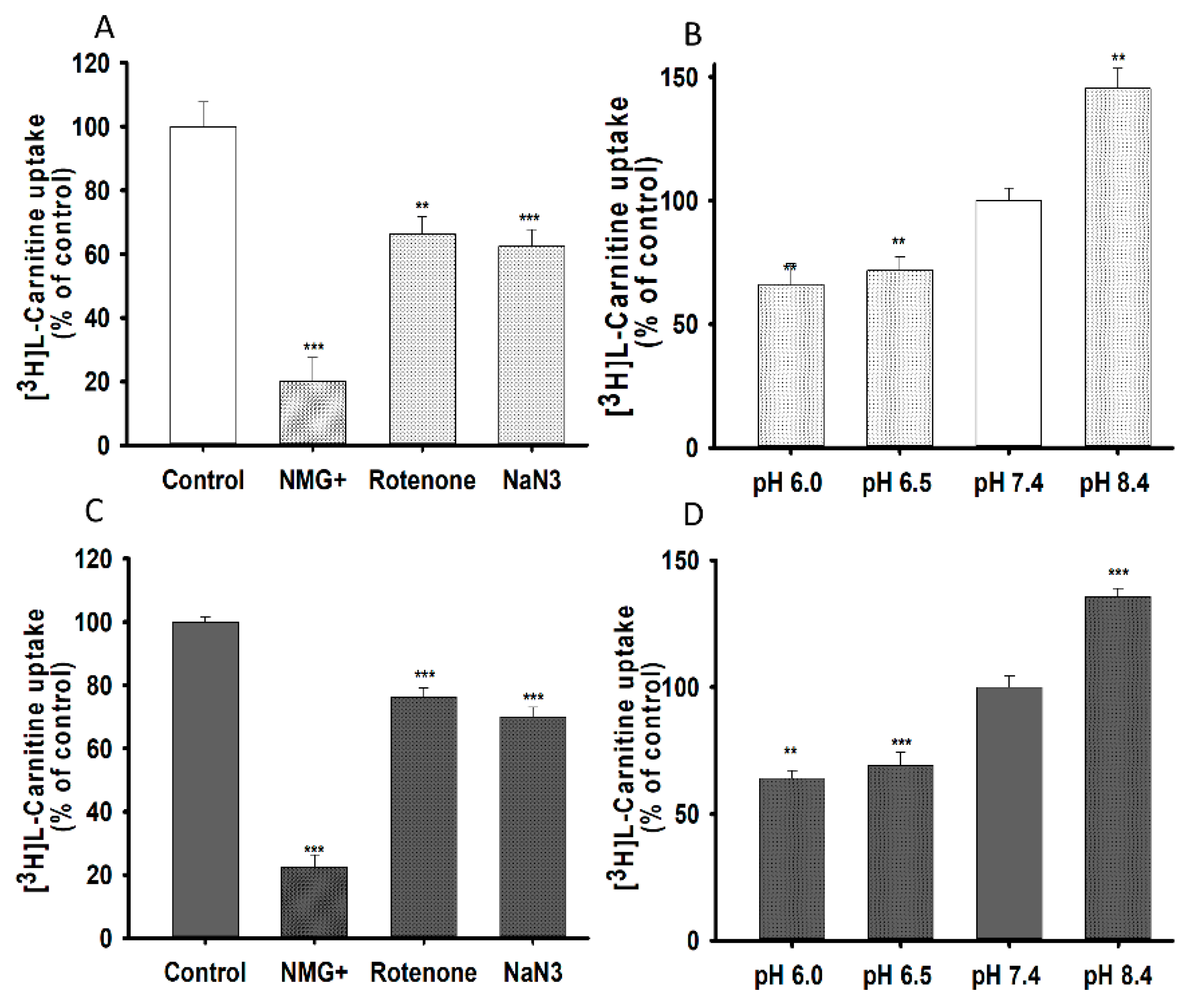 Pharmaceutics 13 00551 g003 Pharmaceutics 13 00551 g003