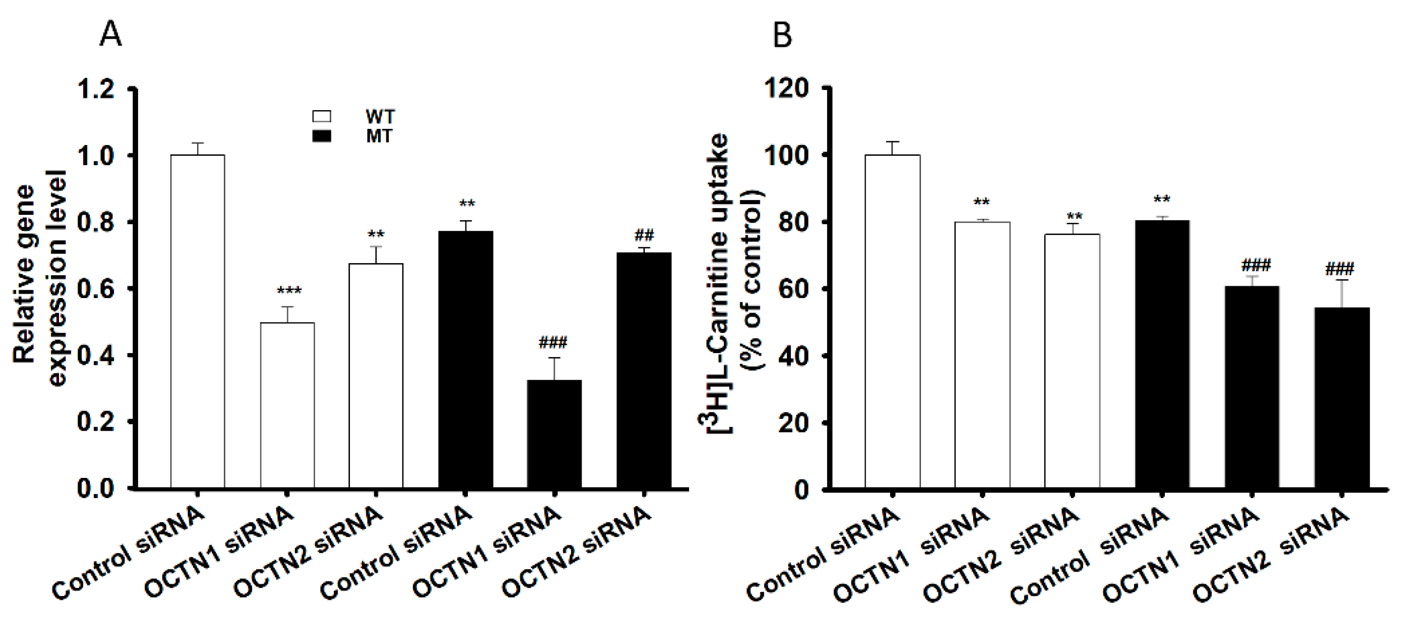 Pharmaceutics 13 00551 g005 Pharmaceutics 13 00551 g005