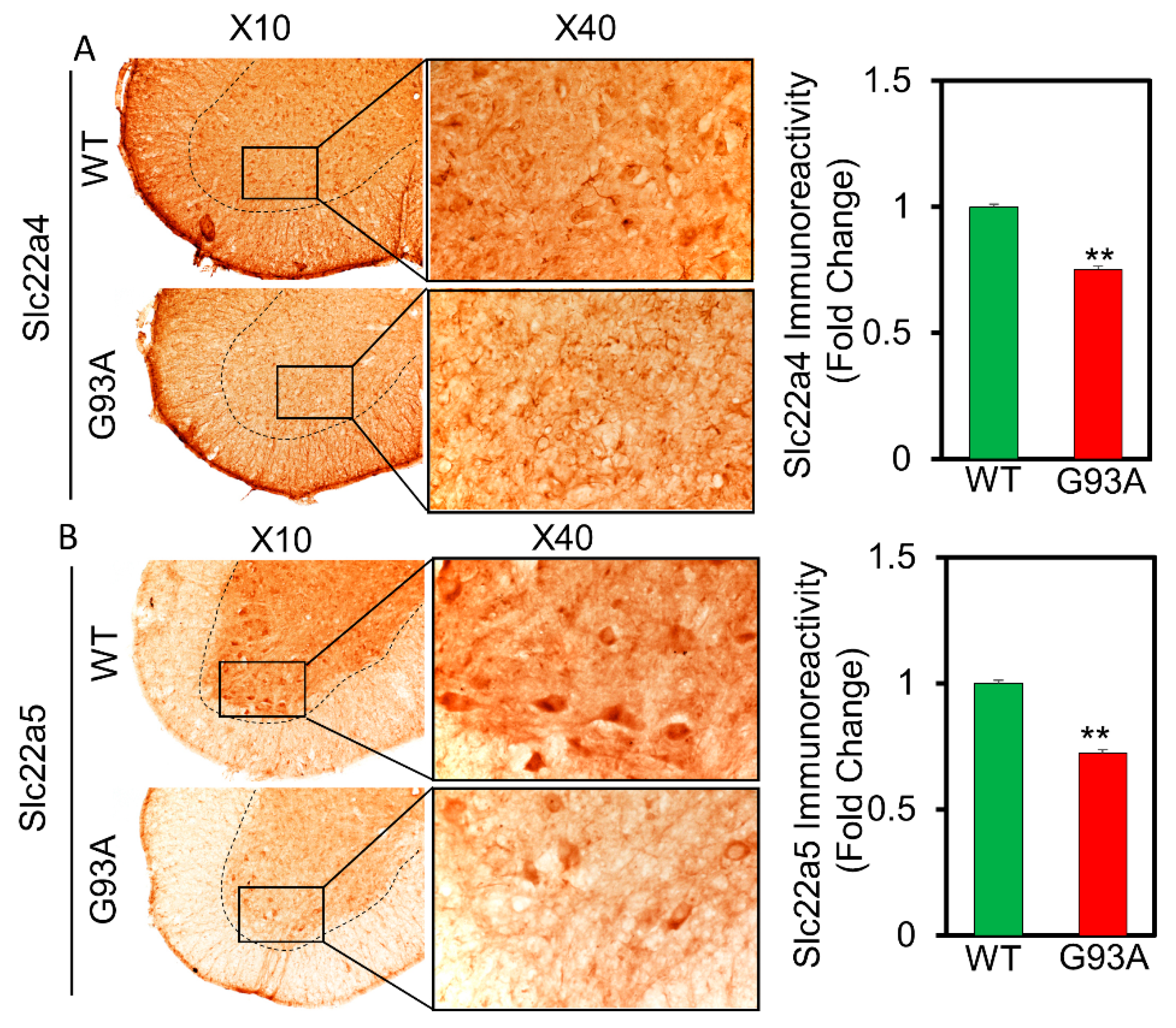 Pharmaceutics 13 00551 g006 Pharmaceutics 13 00551 g006