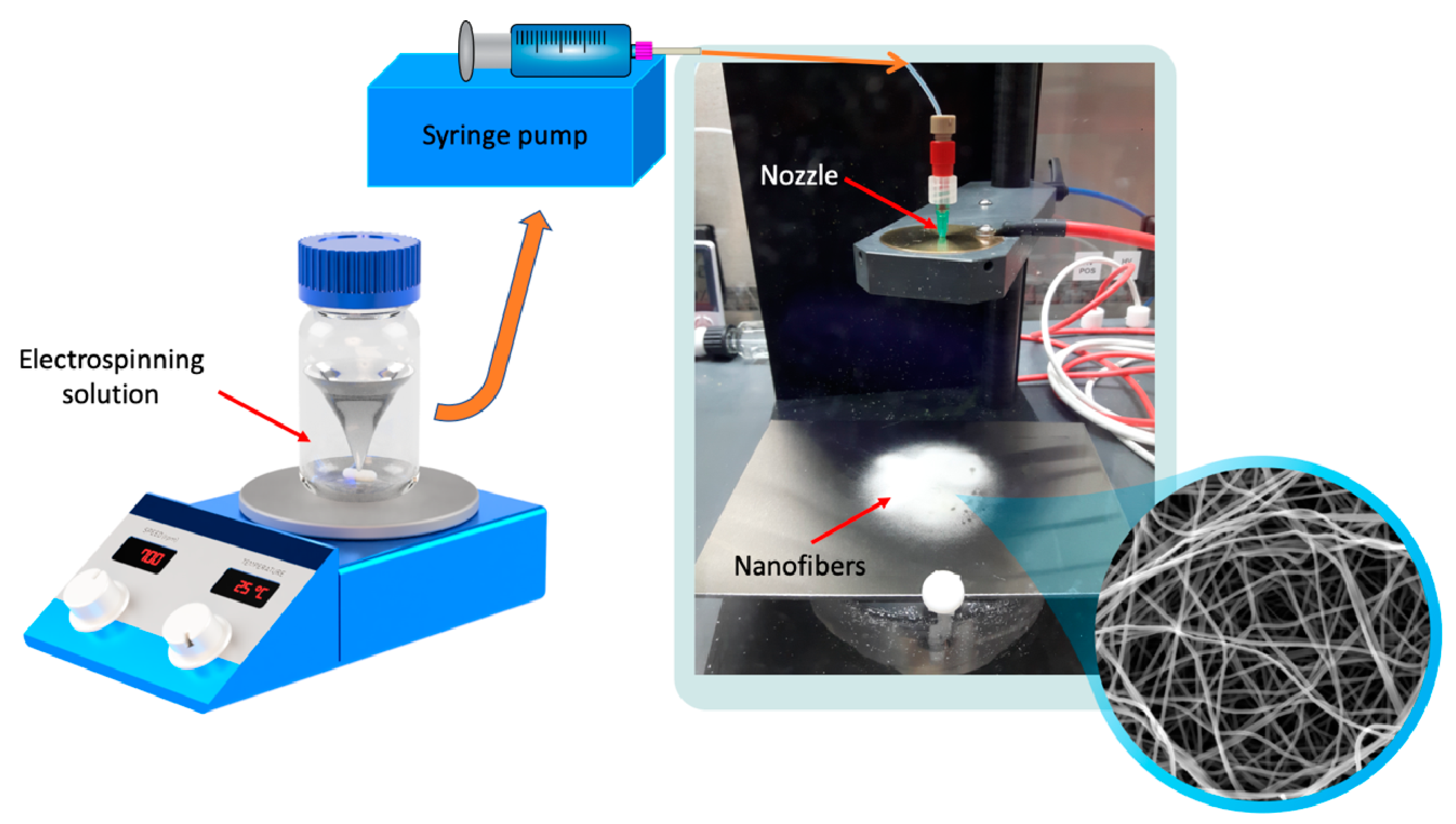 Pharmaceutics 13 00556 g001 Pharmaceutics 13 00556 g001