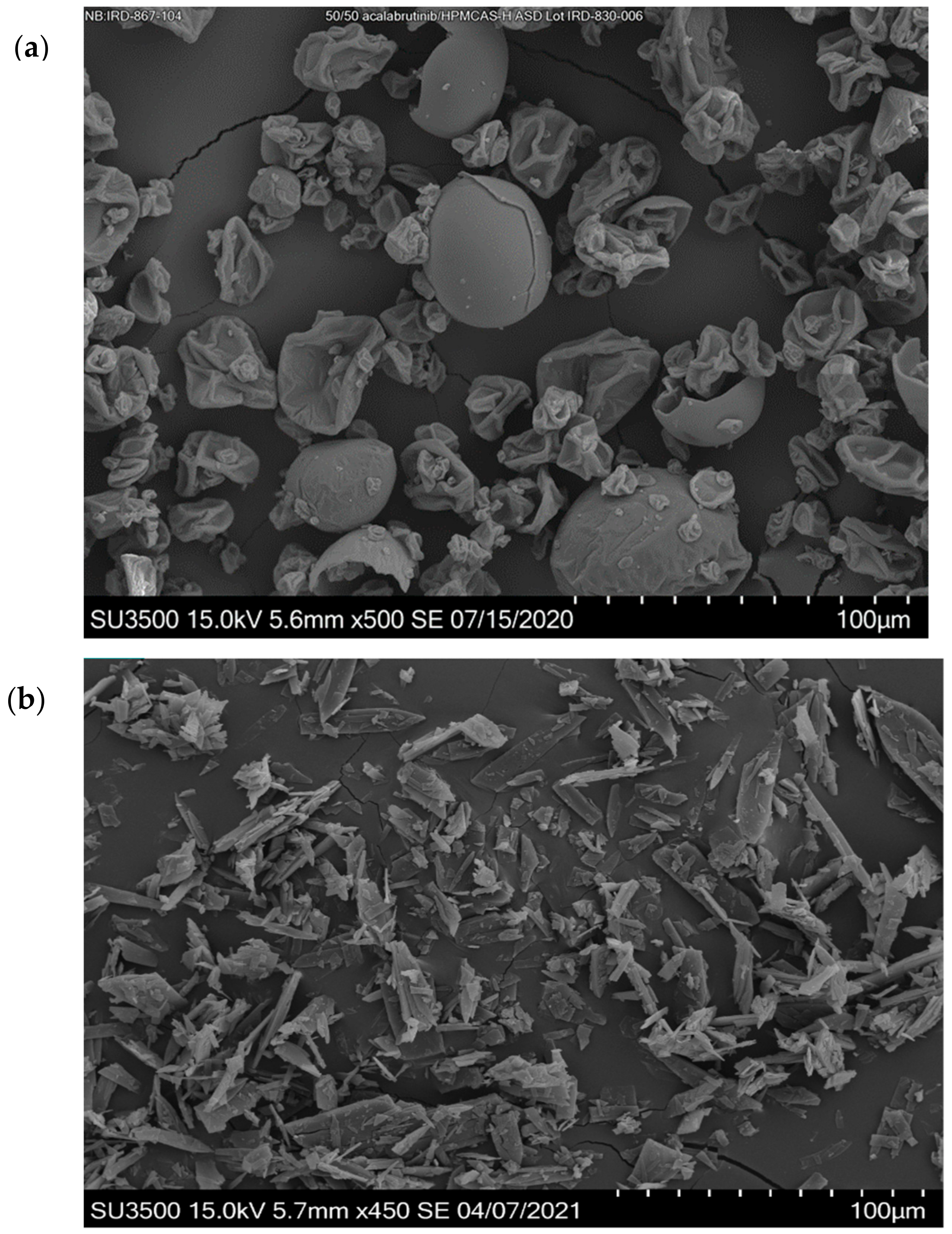 Pharmaceutics 13 00557 g0a2 Pharmaceutics 13 00557 g0a2