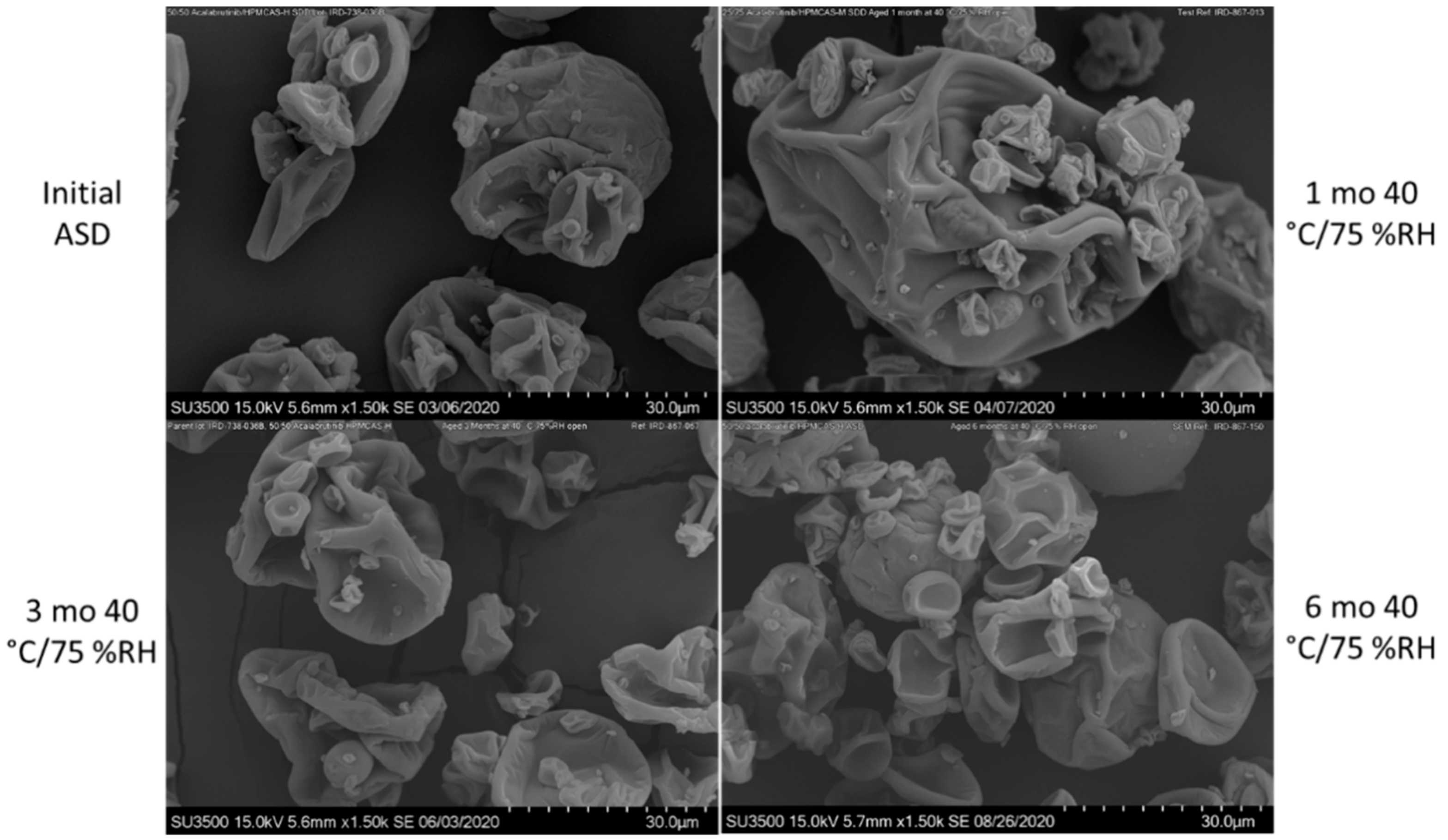 Pharmaceutics 13 00557 g0a5 Pharmaceutics 13 00557 g0a5