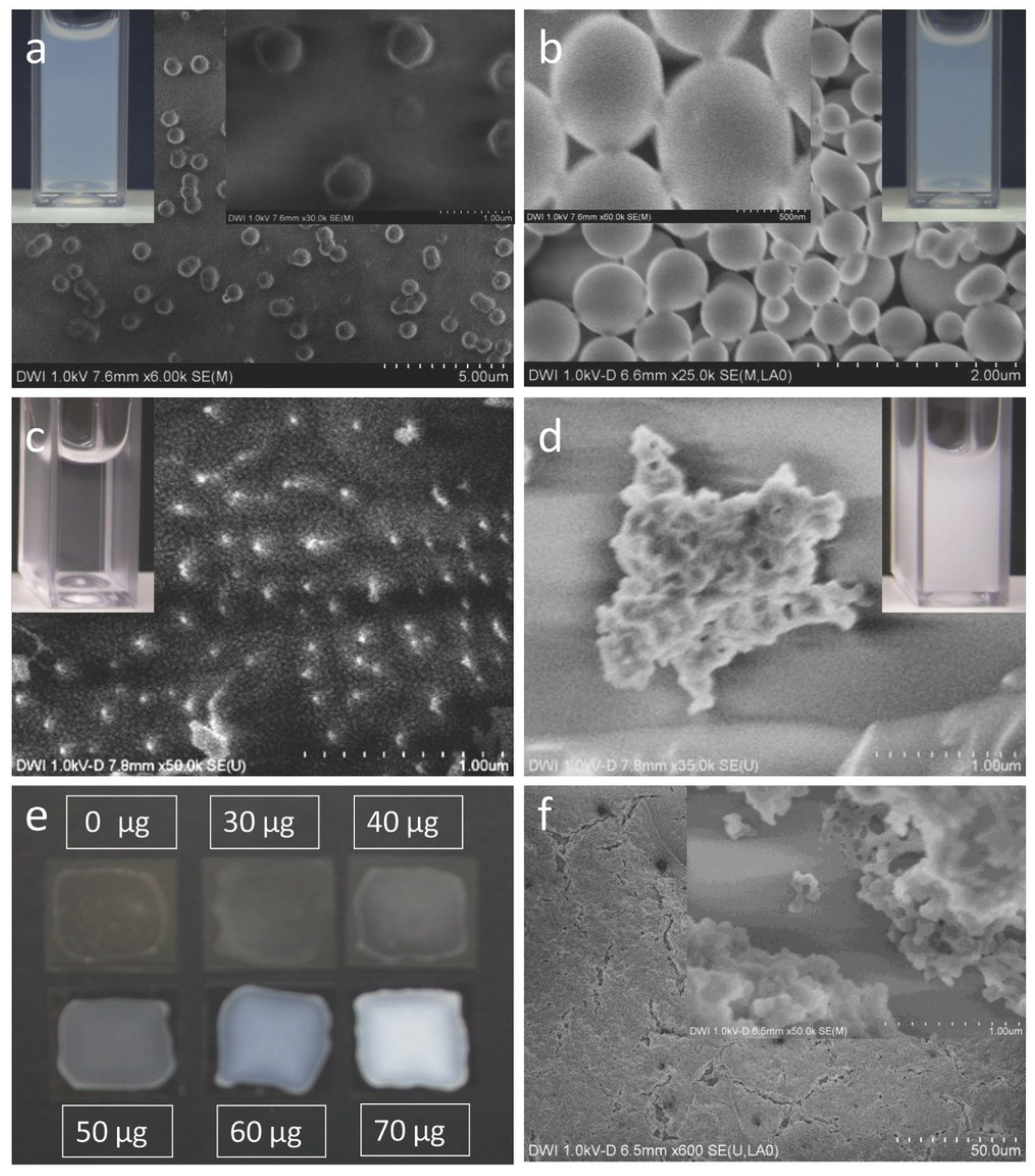 Pharmaceutics 13 00558 g005