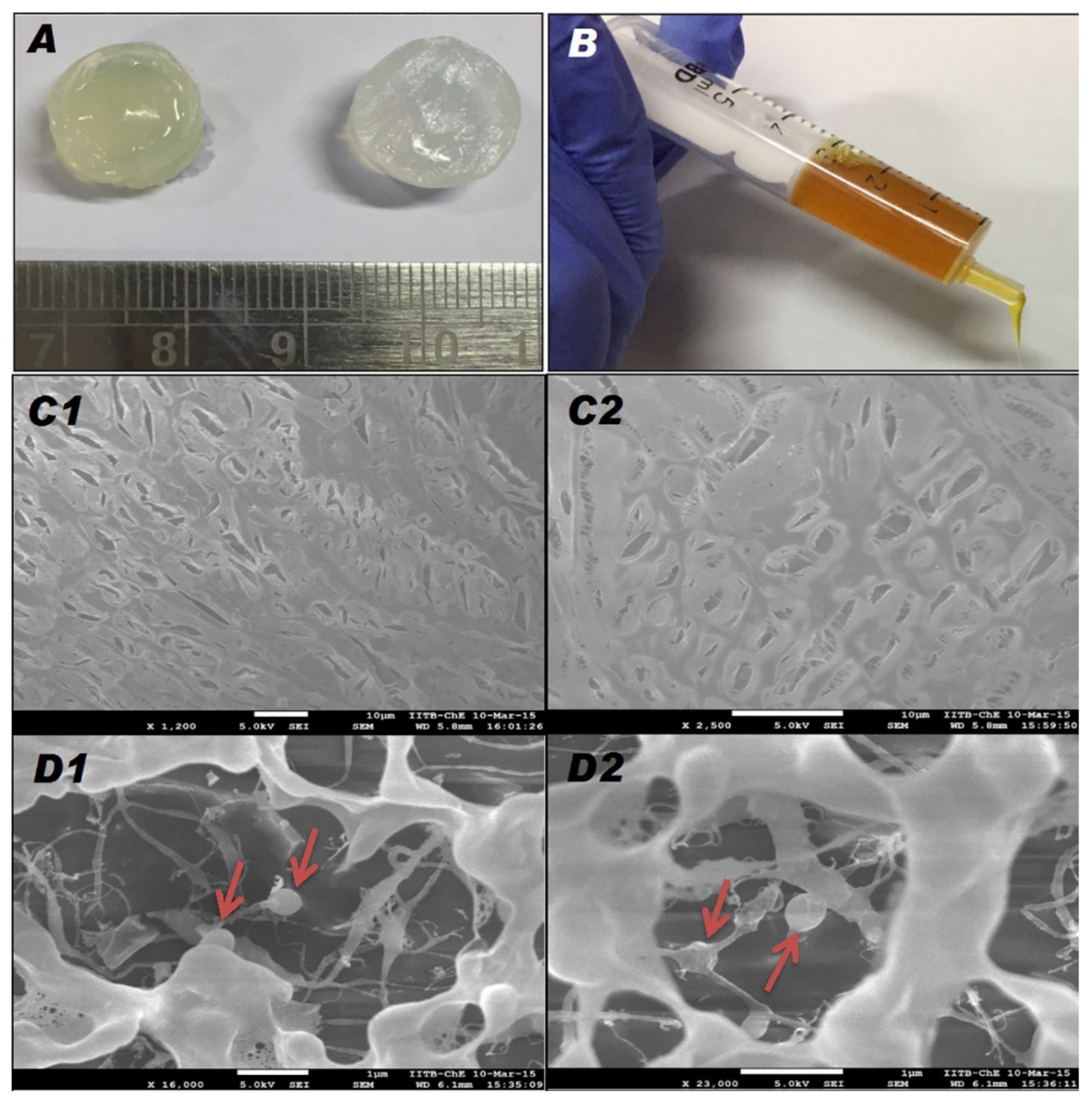 Pharmaceutics 13 00558 g006