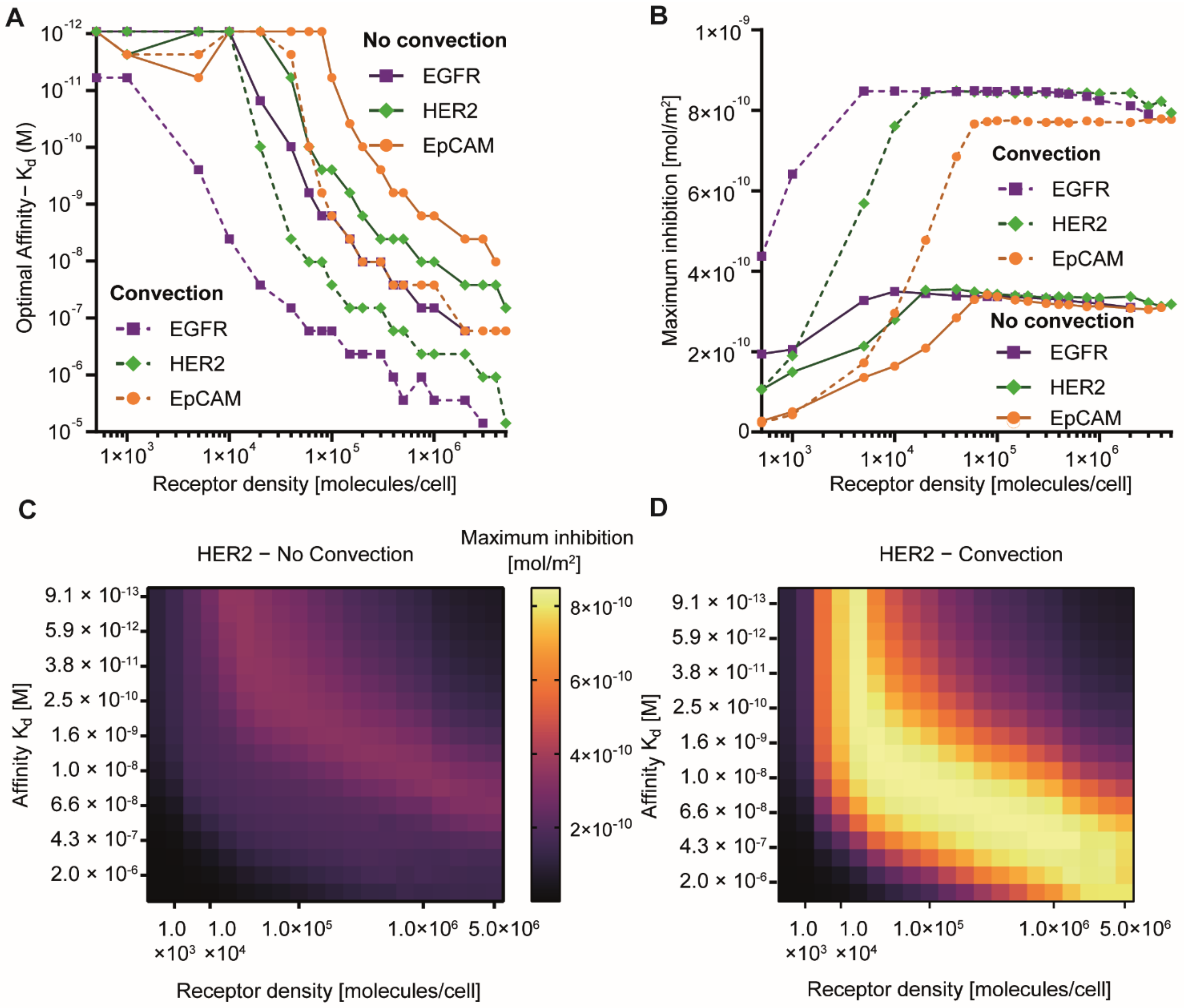 Pharmaceutics 13 00562 g004 Pharmaceutics 13 00562 g004