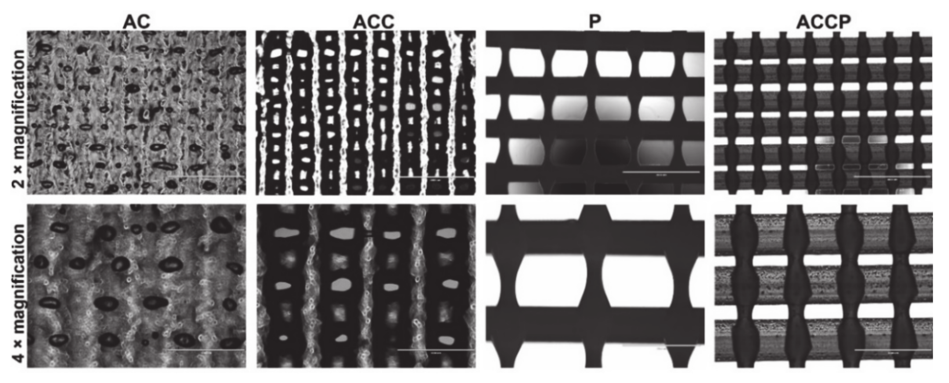 Pharmaceutics 13 00564 g001