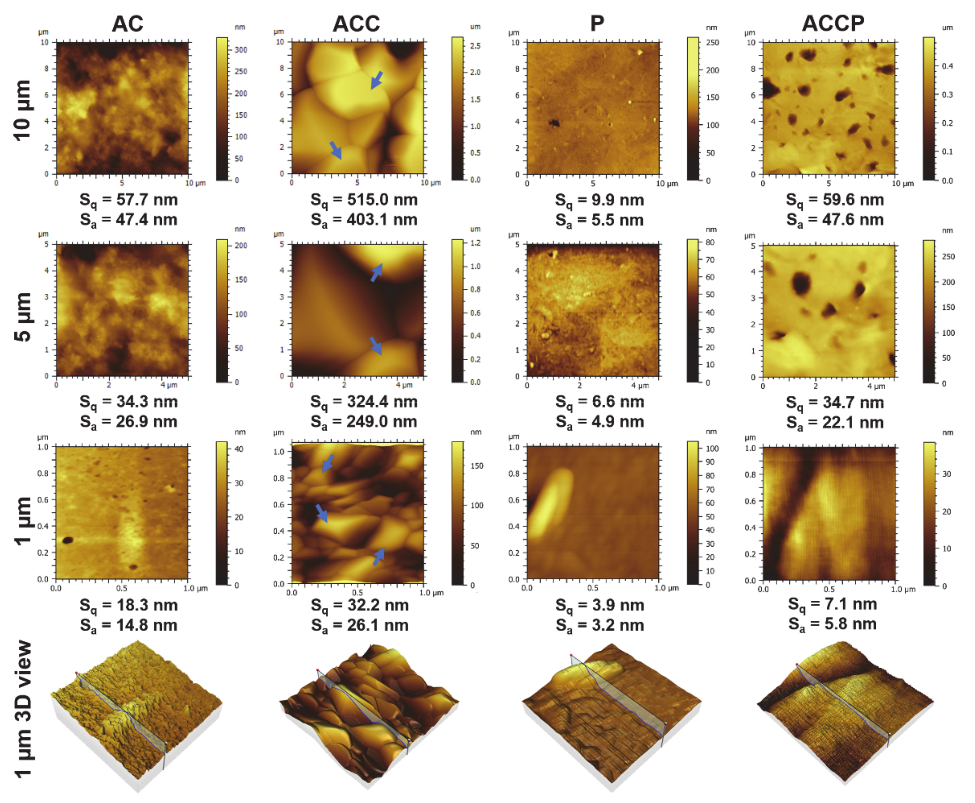 Pharmaceutics 13 00564 g002