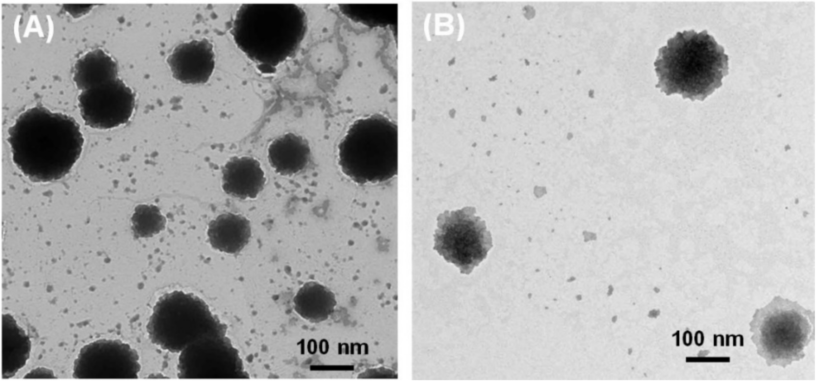 Pharmaceutics 13 00565 g003 Pharmaceutics 13 00565 g003