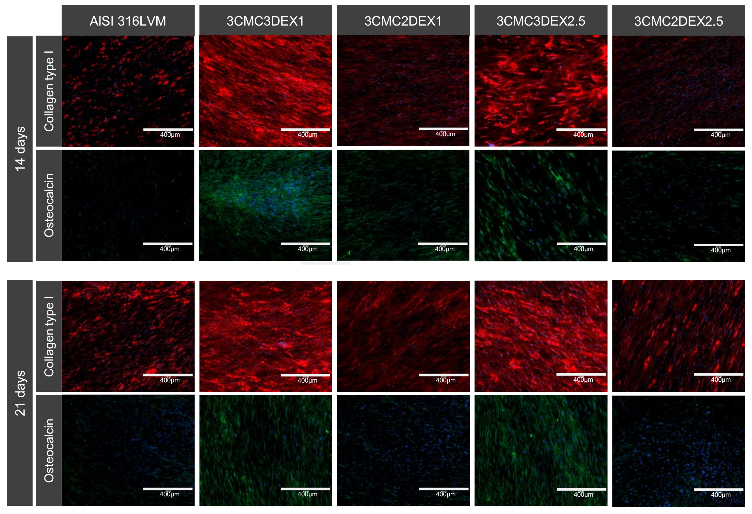 Pharmaceutics 13 00568 g010