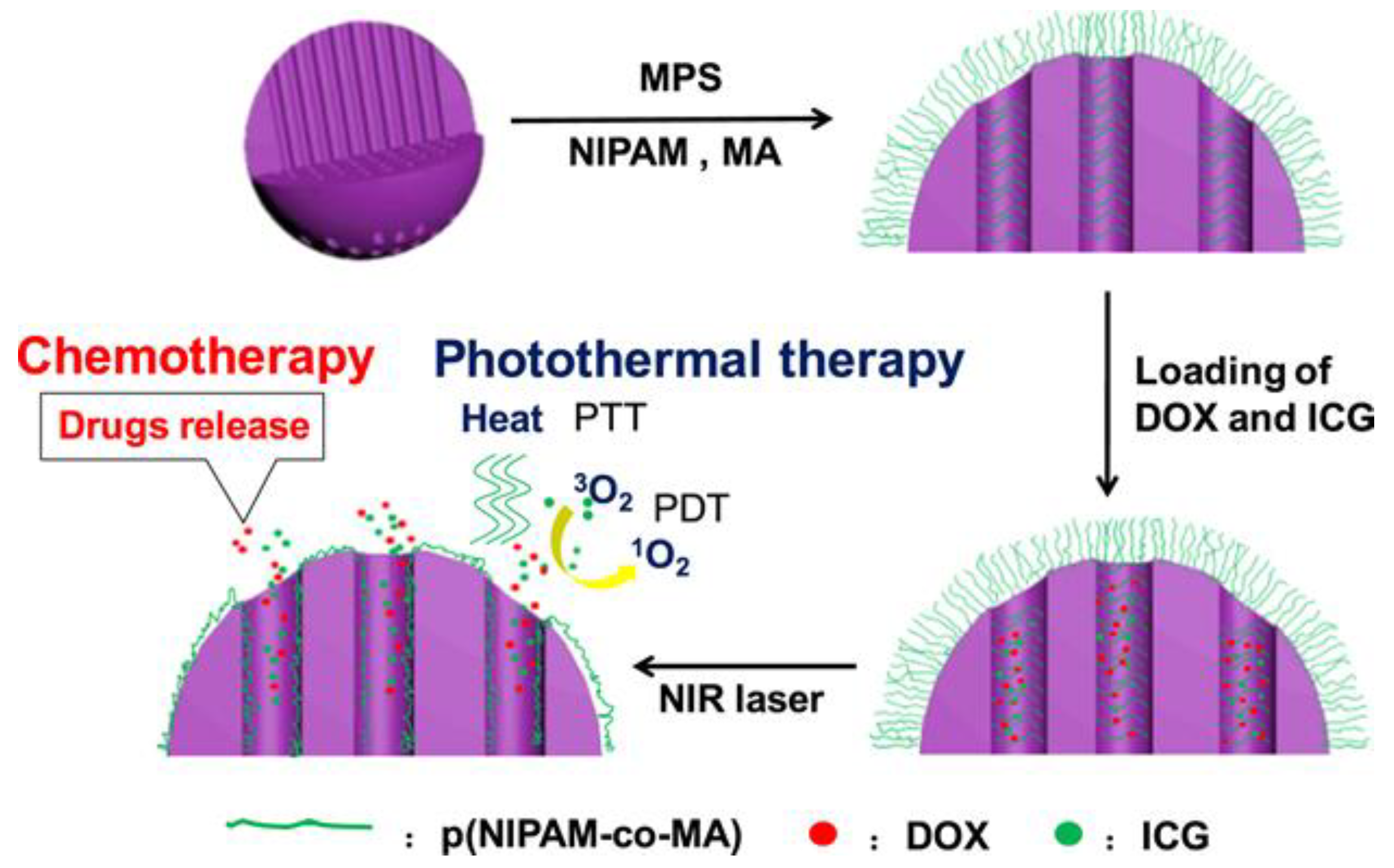 Pharmaceutics 13 00570 g004 Pharmaceutics 13 00570 g004
