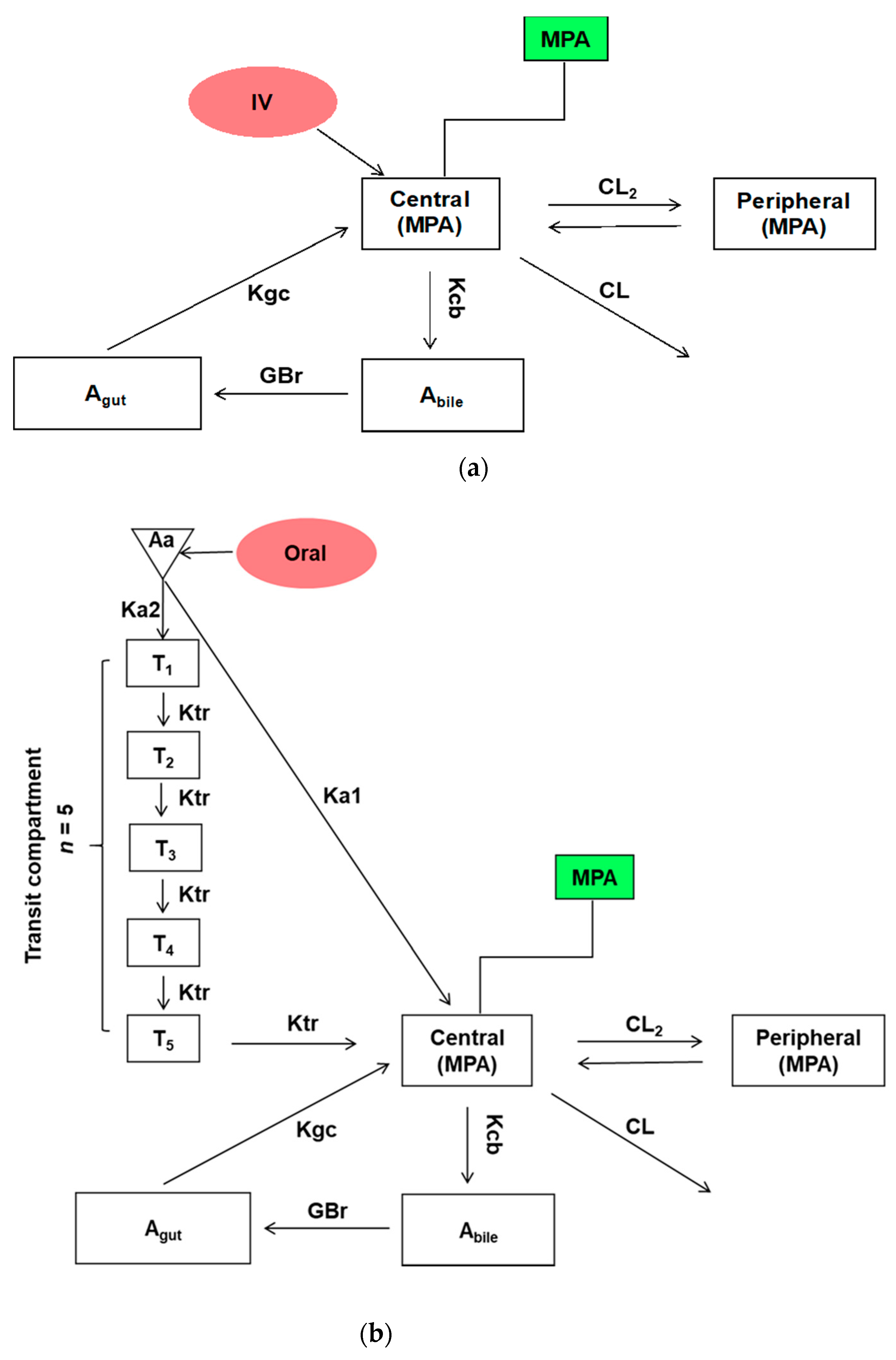 Pharmaceutics 13 00574 g001a Pharmaceutics 13 00574 g001a
