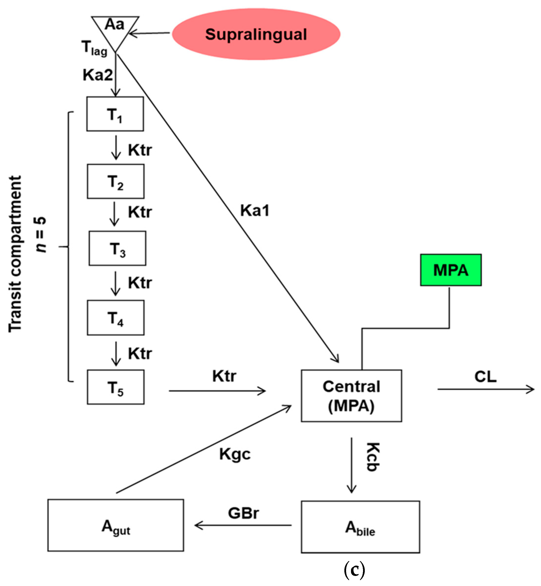 Pharmaceutics 13 00574 g001b Pharmaceutics 13 00574 g001b