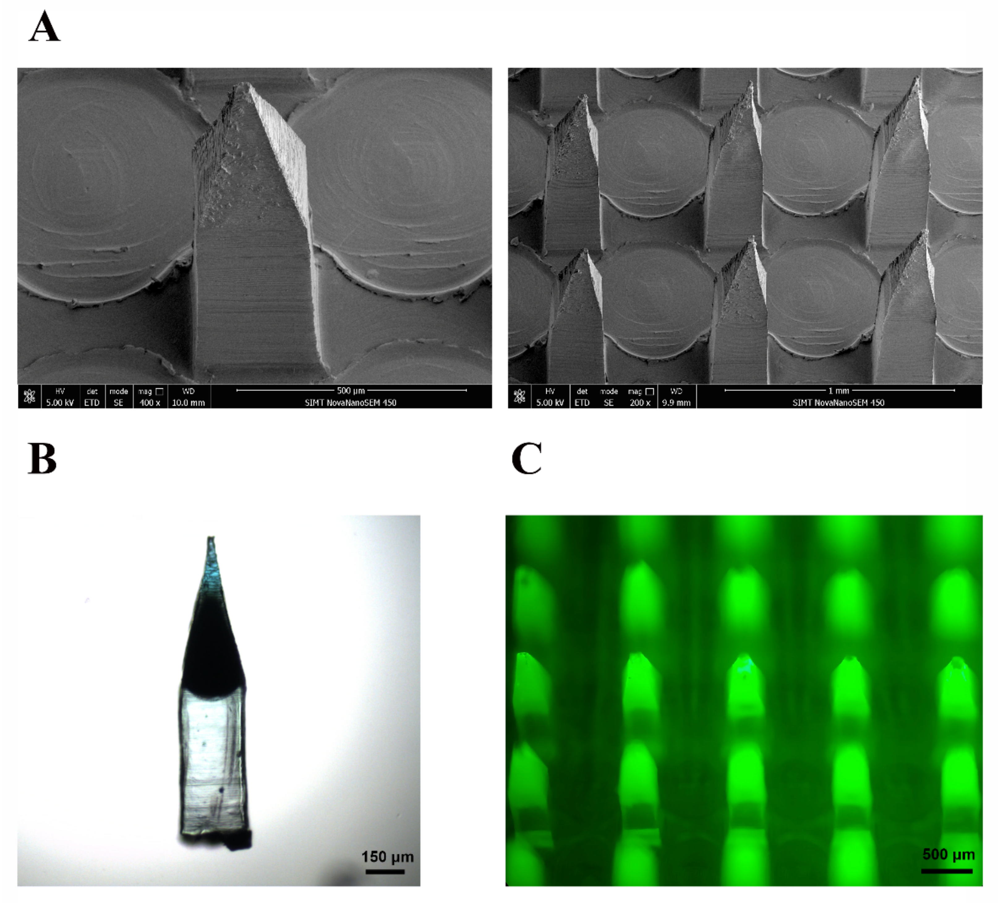 Pharmaceutics 13 00579 g002 Pharmaceutics 13 00579 g002