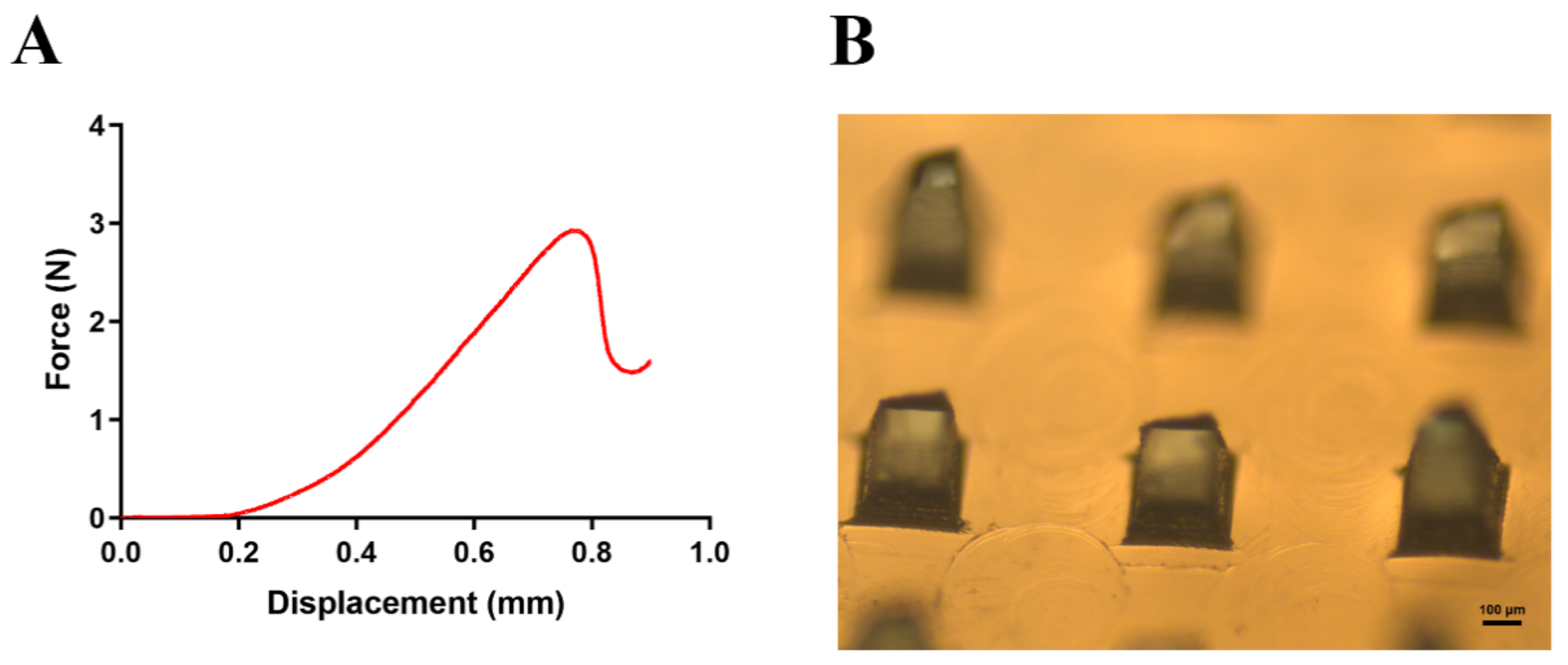 Pharmaceutics 13 00579 g003 Pharmaceutics 13 00579 g003
