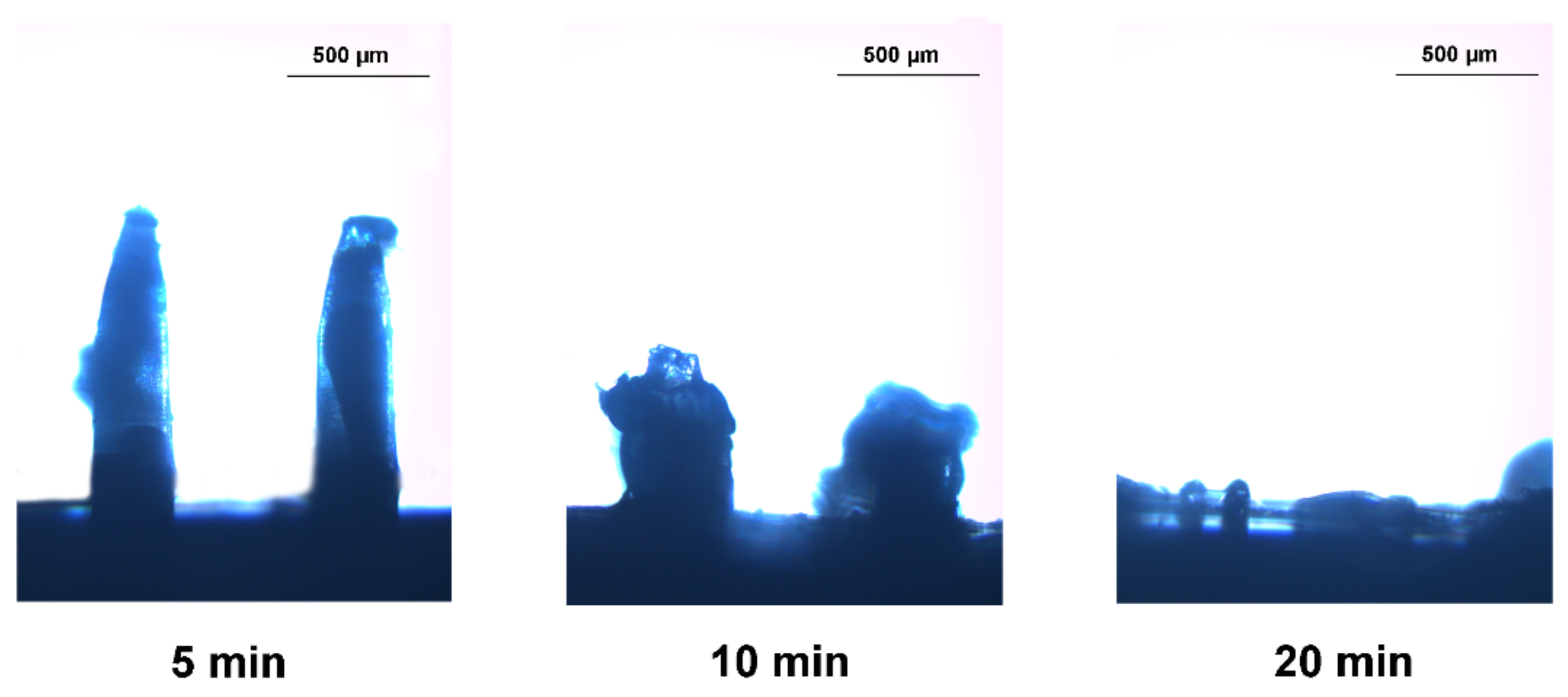Pharmaceutics 13 00579 g005 Pharmaceutics 13 00579 g005
