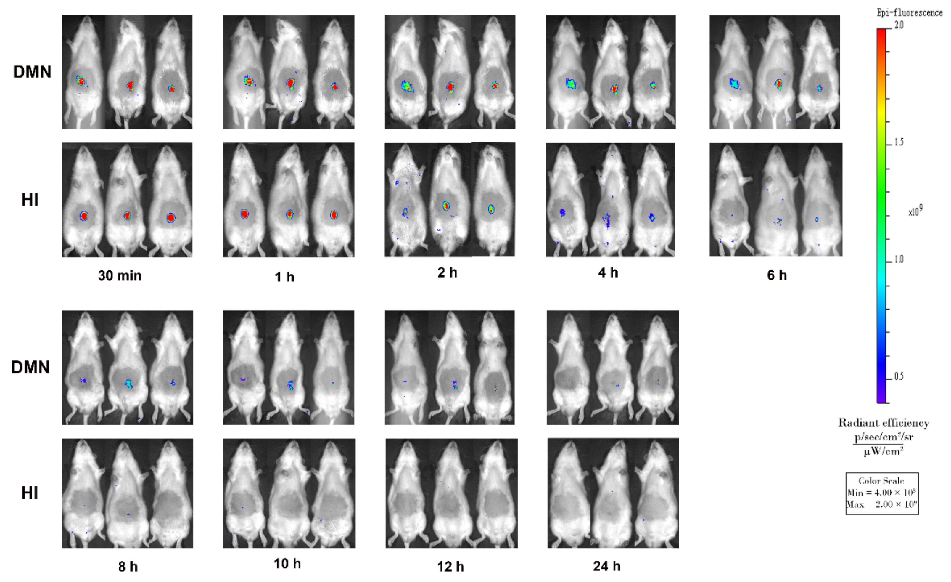 Pharmaceutics 13 00579 g009 Pharmaceutics 13 00579 g009