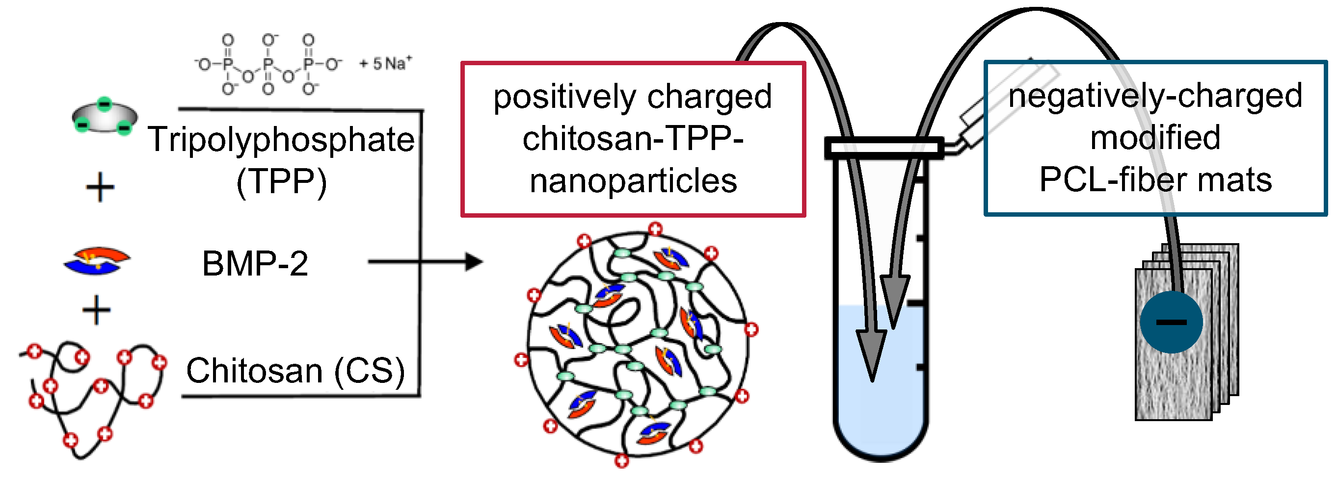 Pharmaceutics 13 00582 g002 Pharmaceutics 13 00582 g002