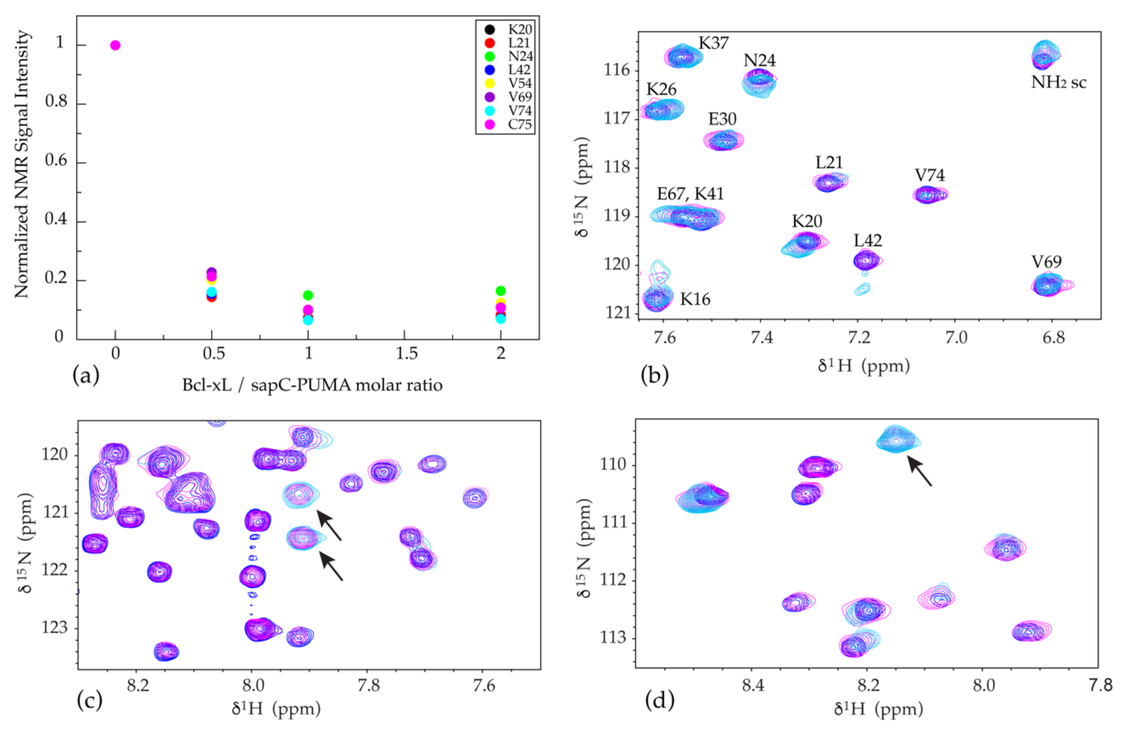 Pharmaceutics 13 00583 g008