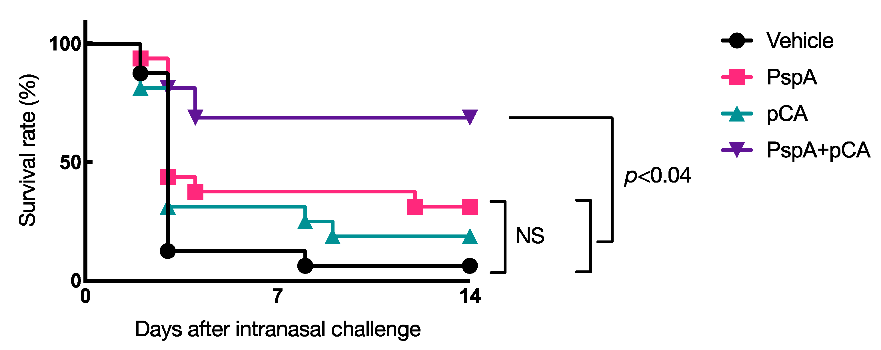 Pharmaceutics 13 00585 g003 Pharmaceutics 13 00585 g003