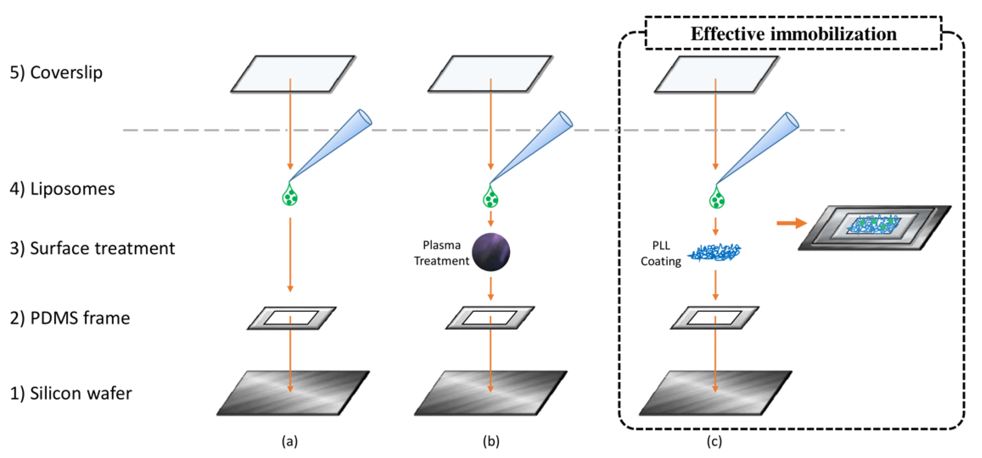 Pharmaceutics 13 00590 g0a1 Pharmaceutics 13 00590 g0a1