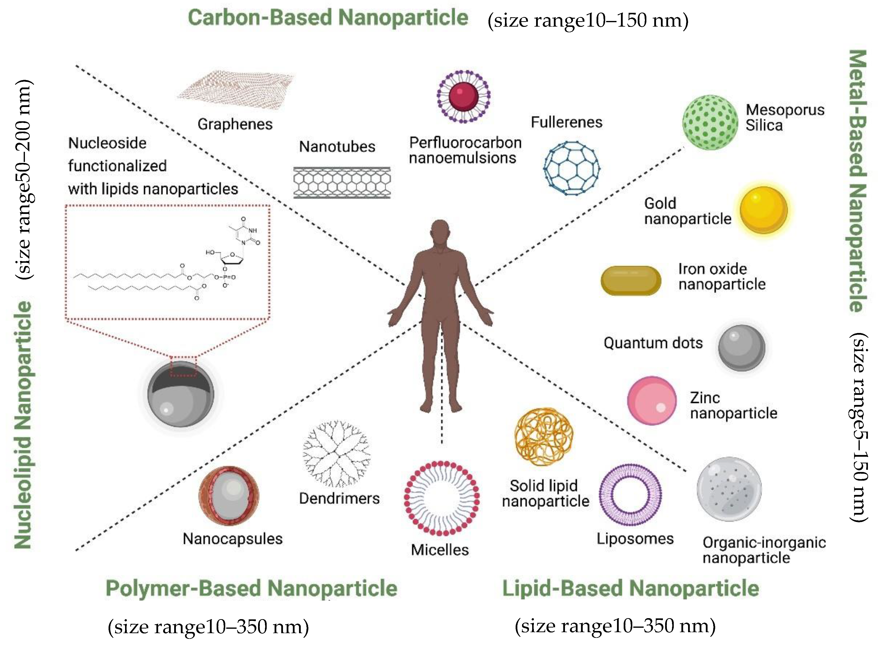Pharmaceutics Free Full Text Nanovectorization Of Prostate Cancer Treatment Strategies A New Approach To Improved Outcomes Html
