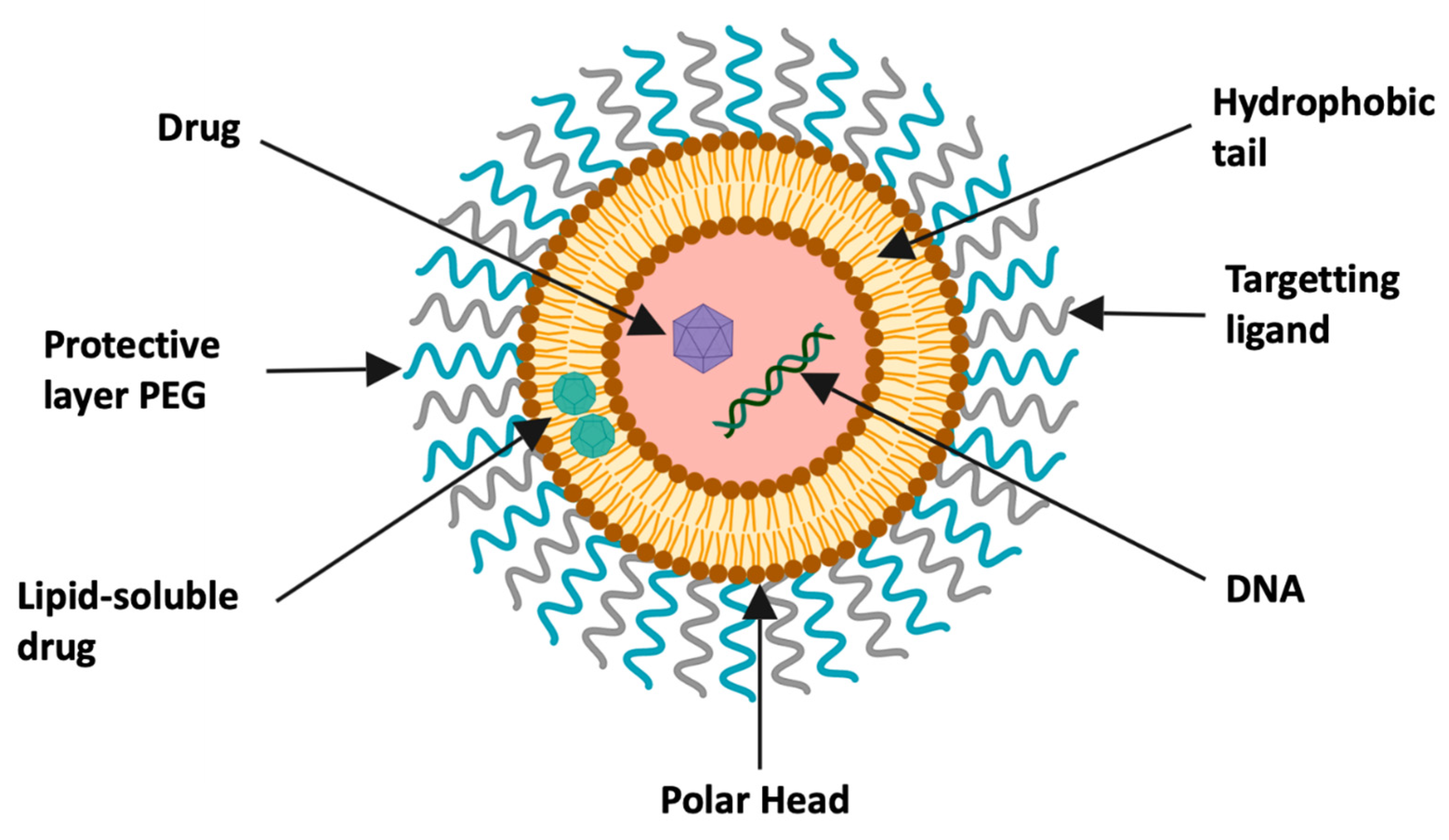 Pharmaceutics 13 00591 g004 Pharmaceutics 13 00591 g004