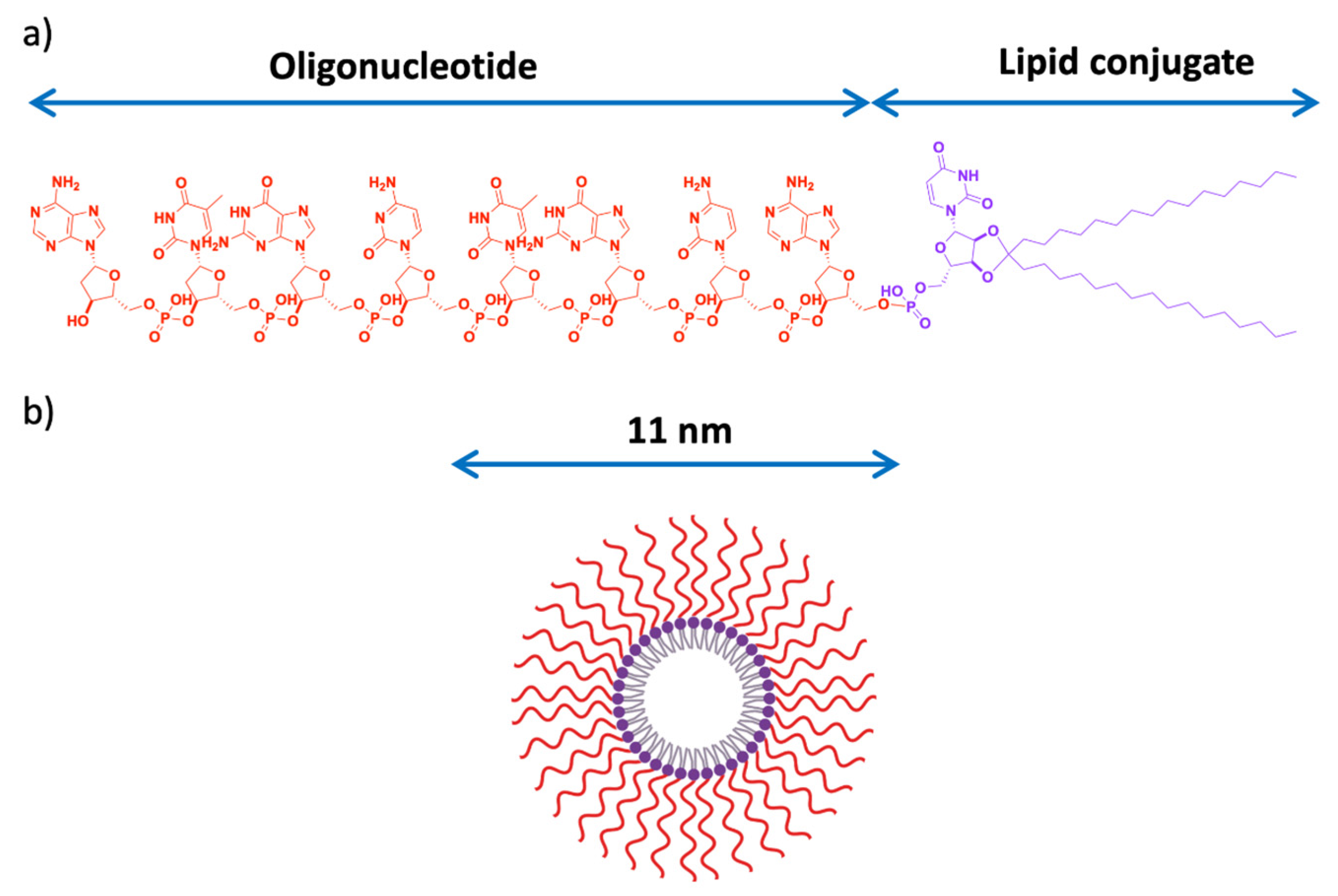 Pharmaceutics 13 00591 g007 Pharmaceutics 13 00591 g007