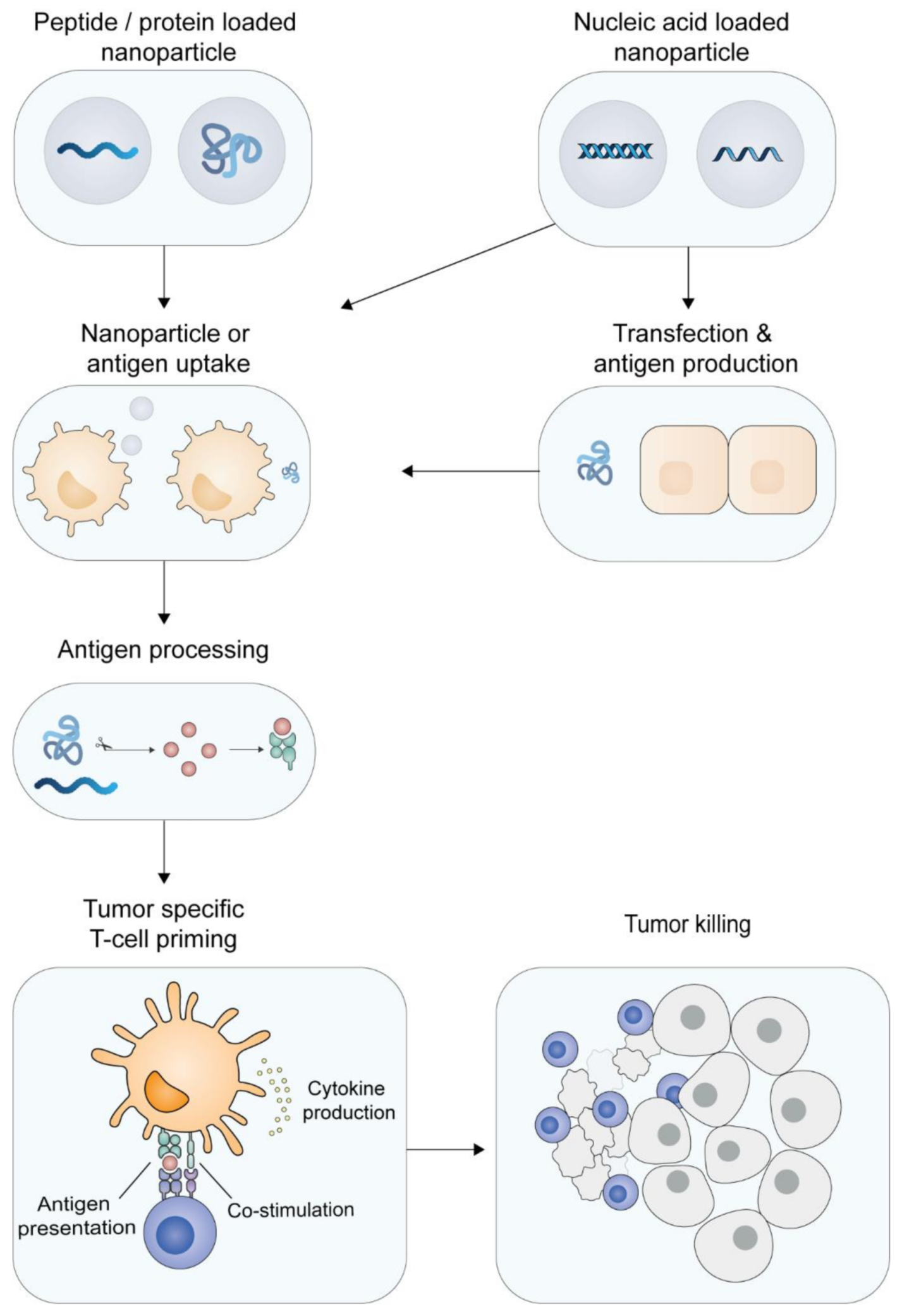 Pharmaceutics 13 00596 g002 Pharmaceutics 13 00596 g002