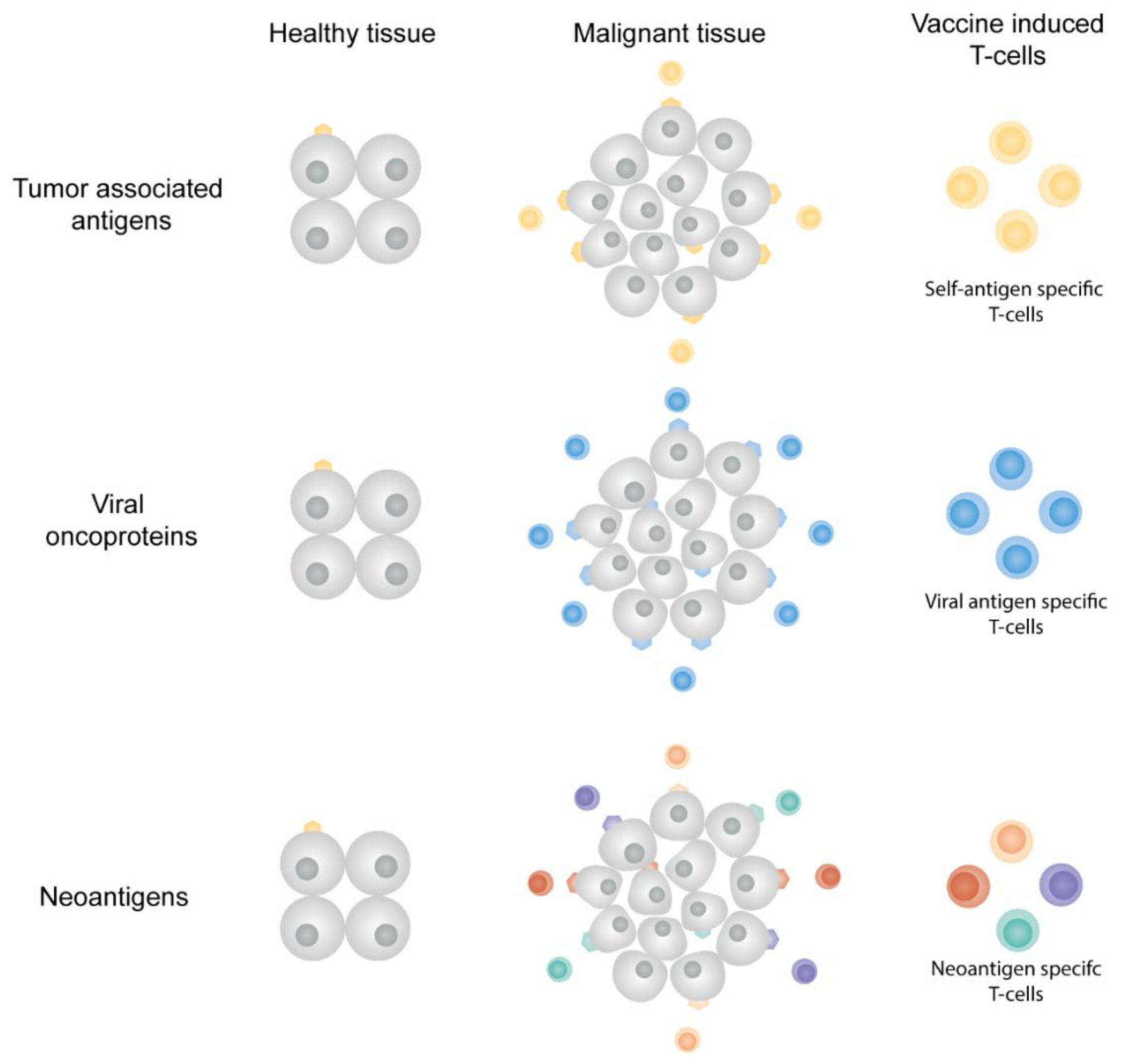 Pharmaceutics 13 00596 g003 Pharmaceutics 13 00596 g003