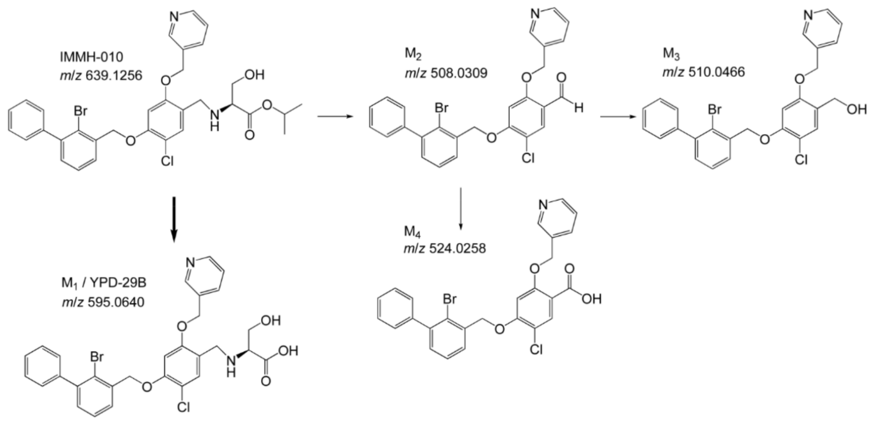 Pharmaceutics 13 00598 g002