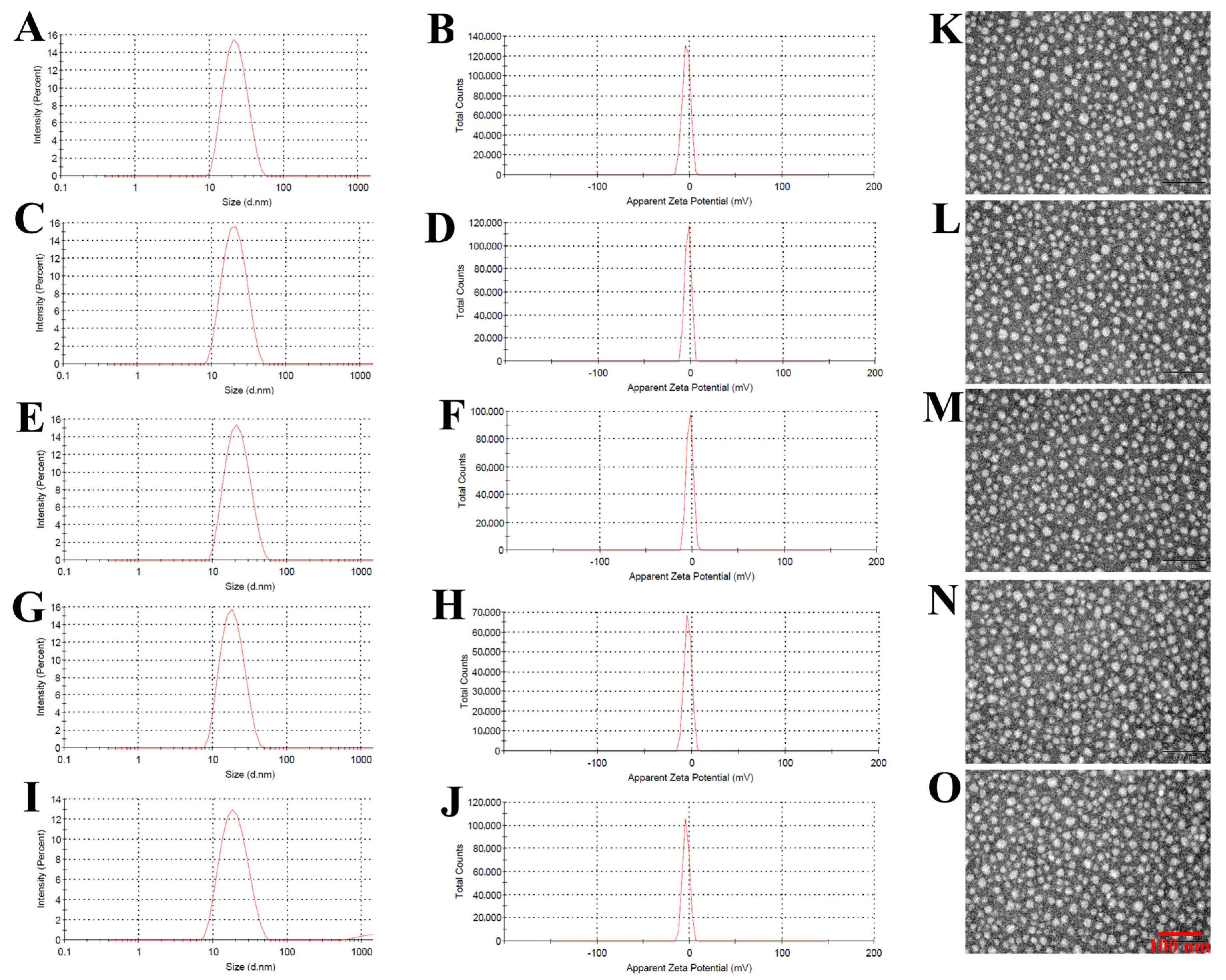 Pharmaceutics 13 00600 g001 Pharmaceutics 13 00600 g001