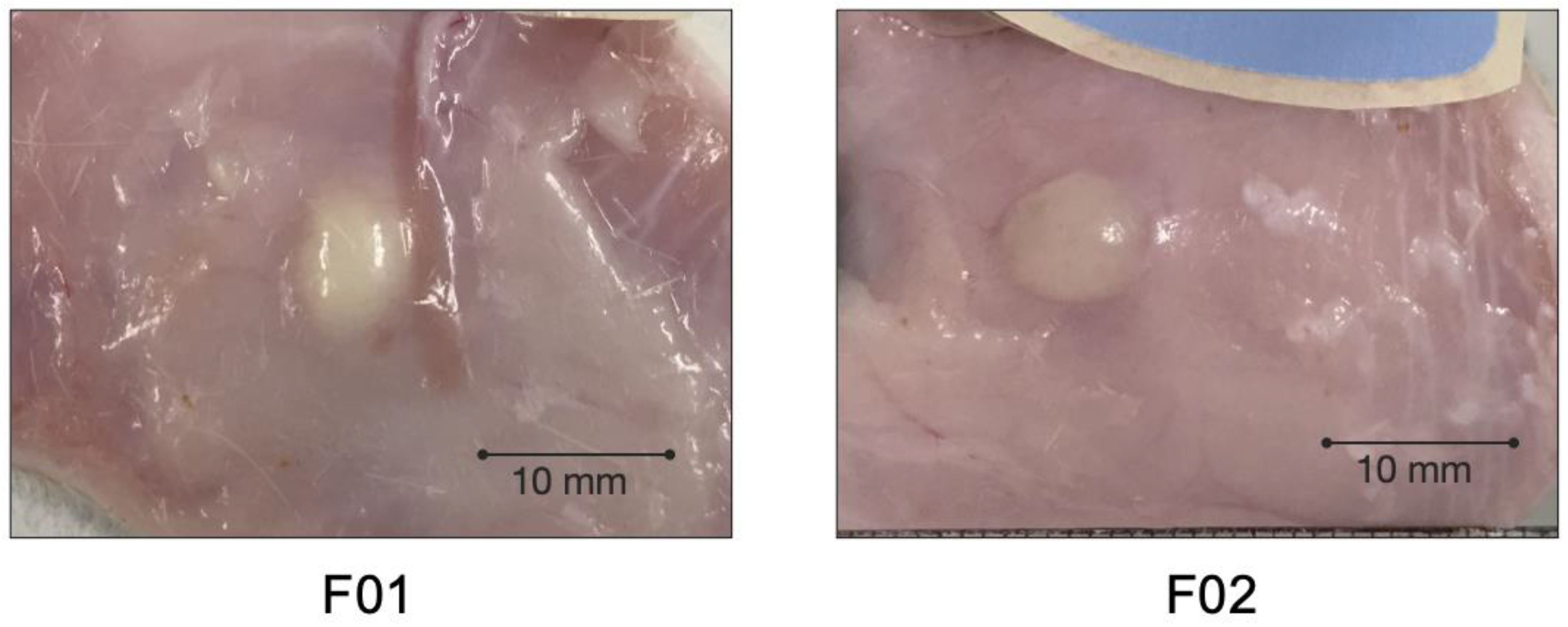 Pharmaceutics 13 00605 g007