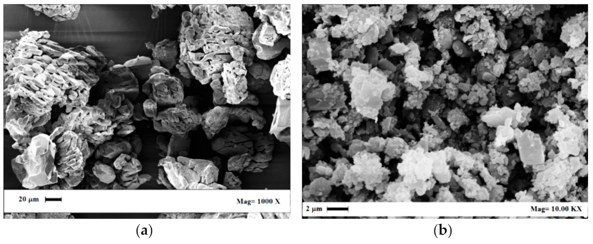 Pharmaceutics 13 00612 g007 Pharmaceutics 13 00612 g007