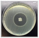 Pharmaceutics 13 00613 i007