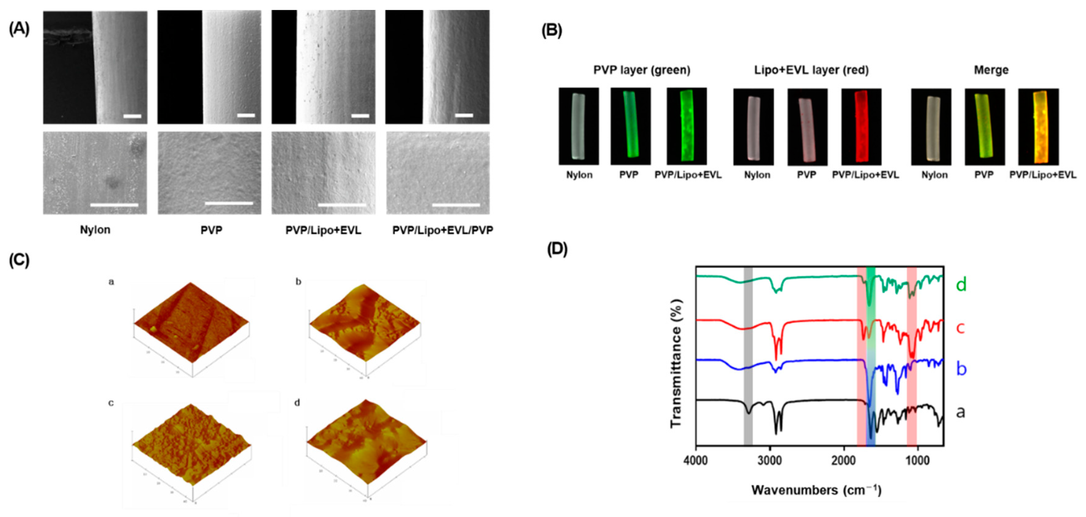 Pharmaceutics 13 00614 g004 Pharmaceutics 13 00614 g004