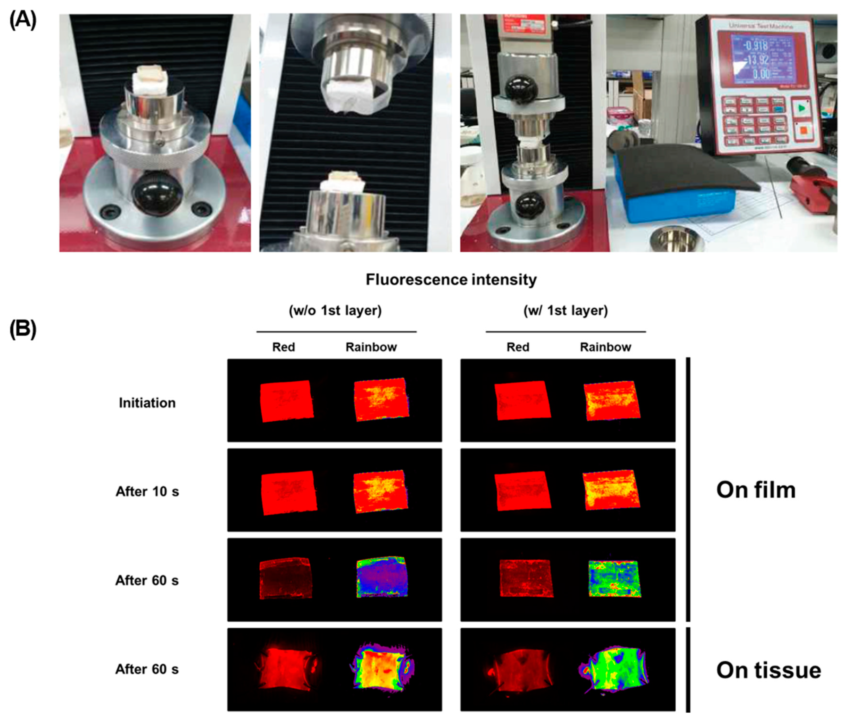 Pharmaceutics 13 00614 g008 Pharmaceutics 13 00614 g008
