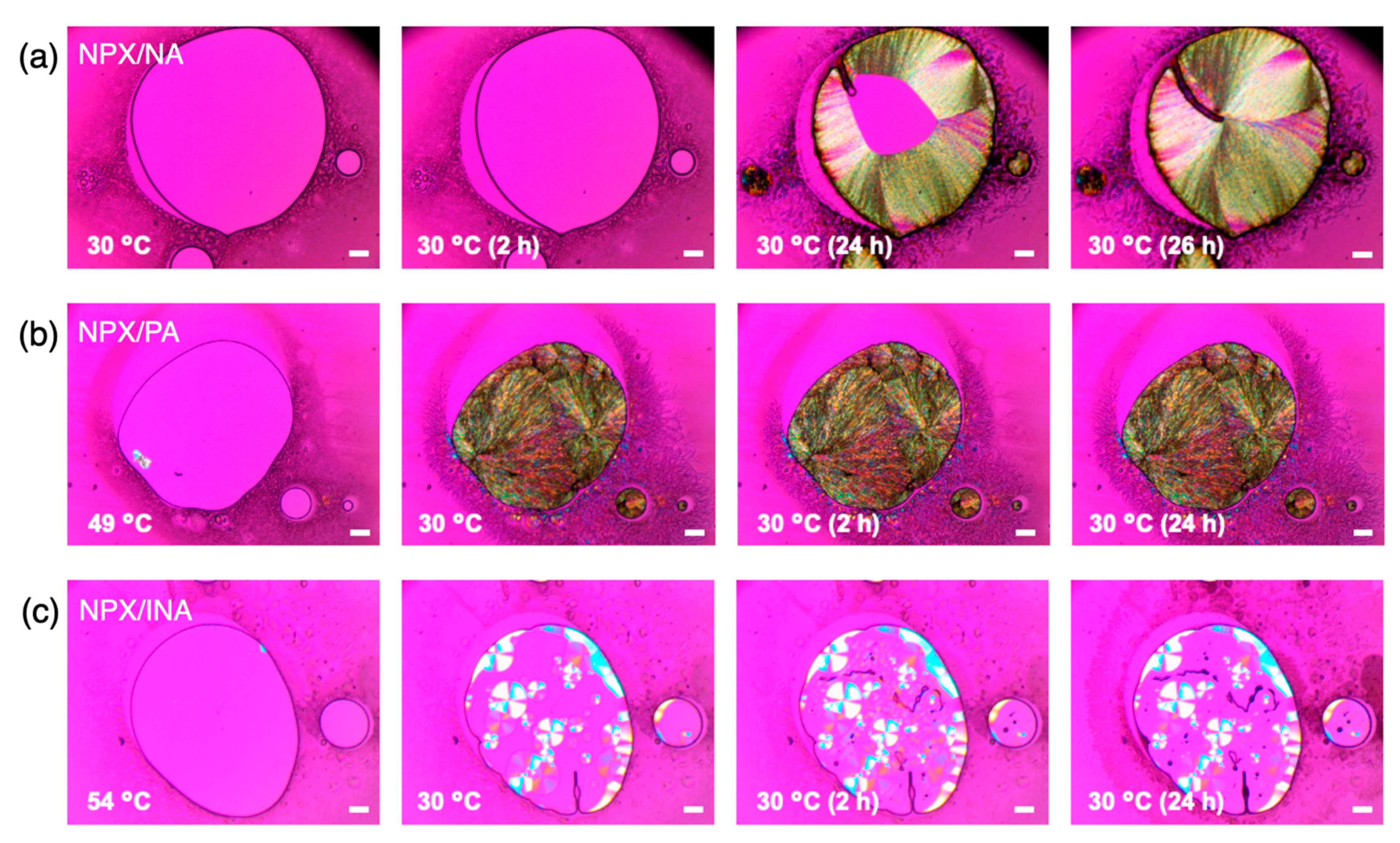 Pharmaceutics 13 00618 g004 Pharmaceutics 13 00618 g004