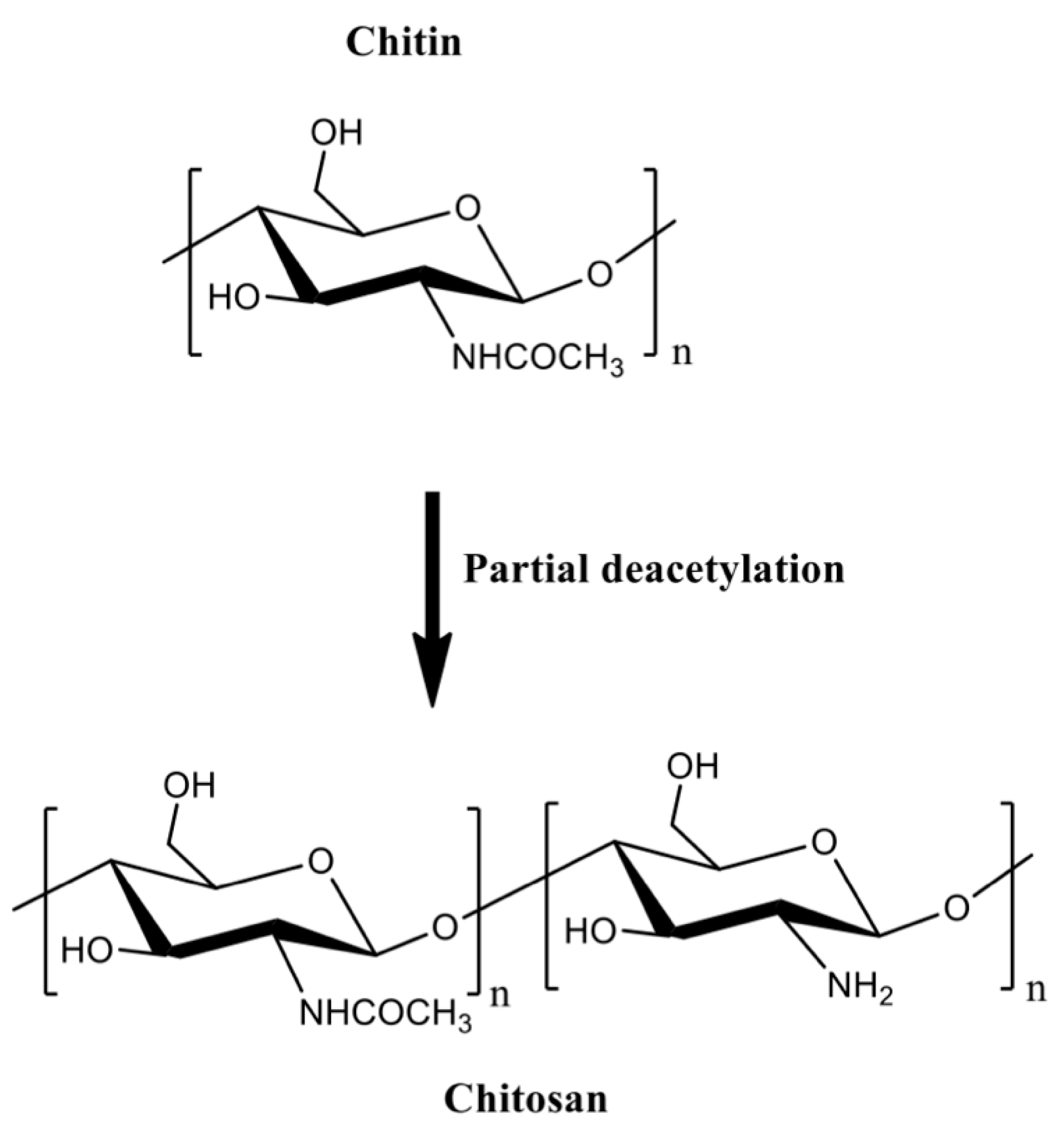 Pharmaceutics 13 00621 g002
