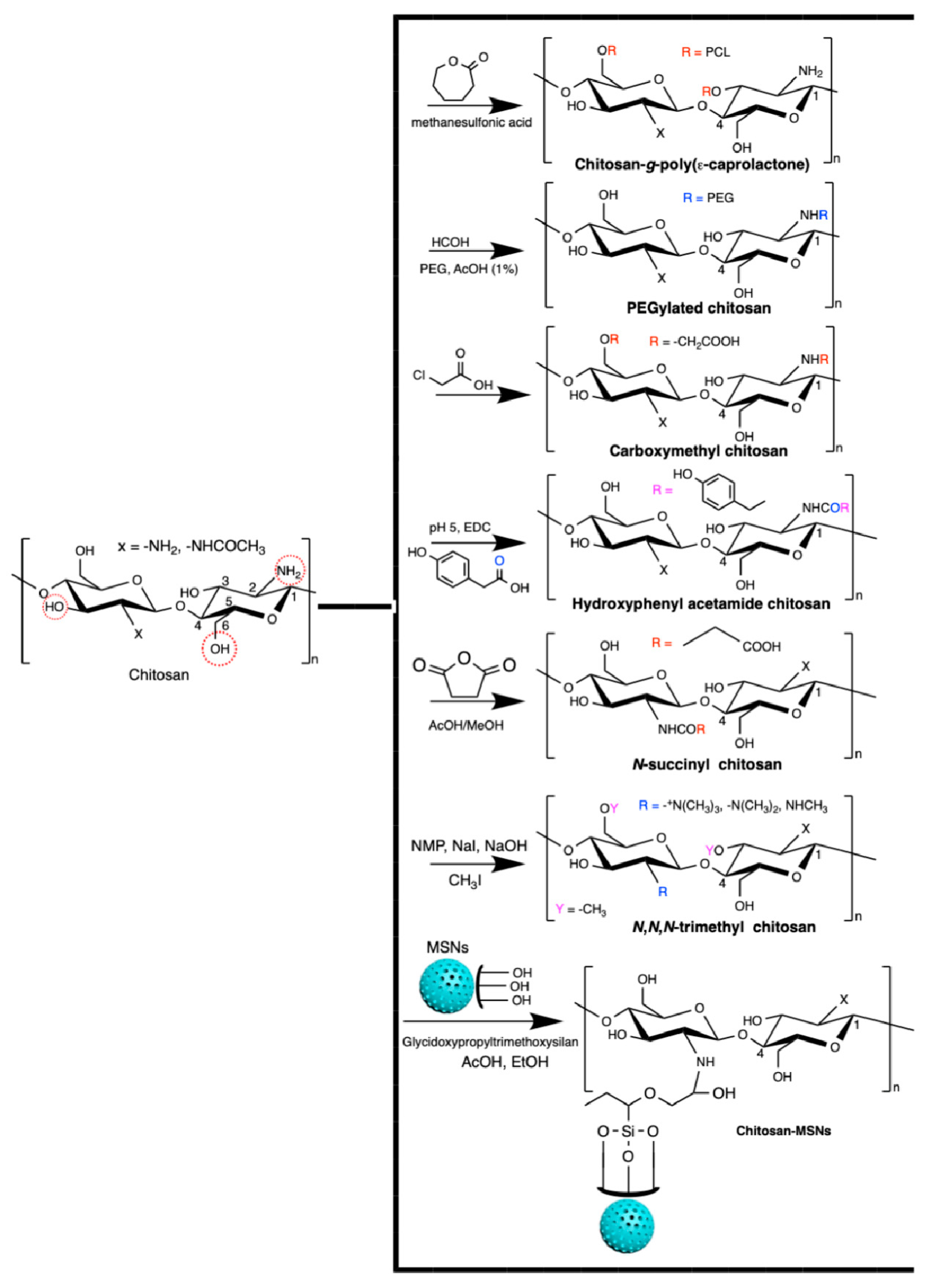 Pharmaceutics 13 00621 g003