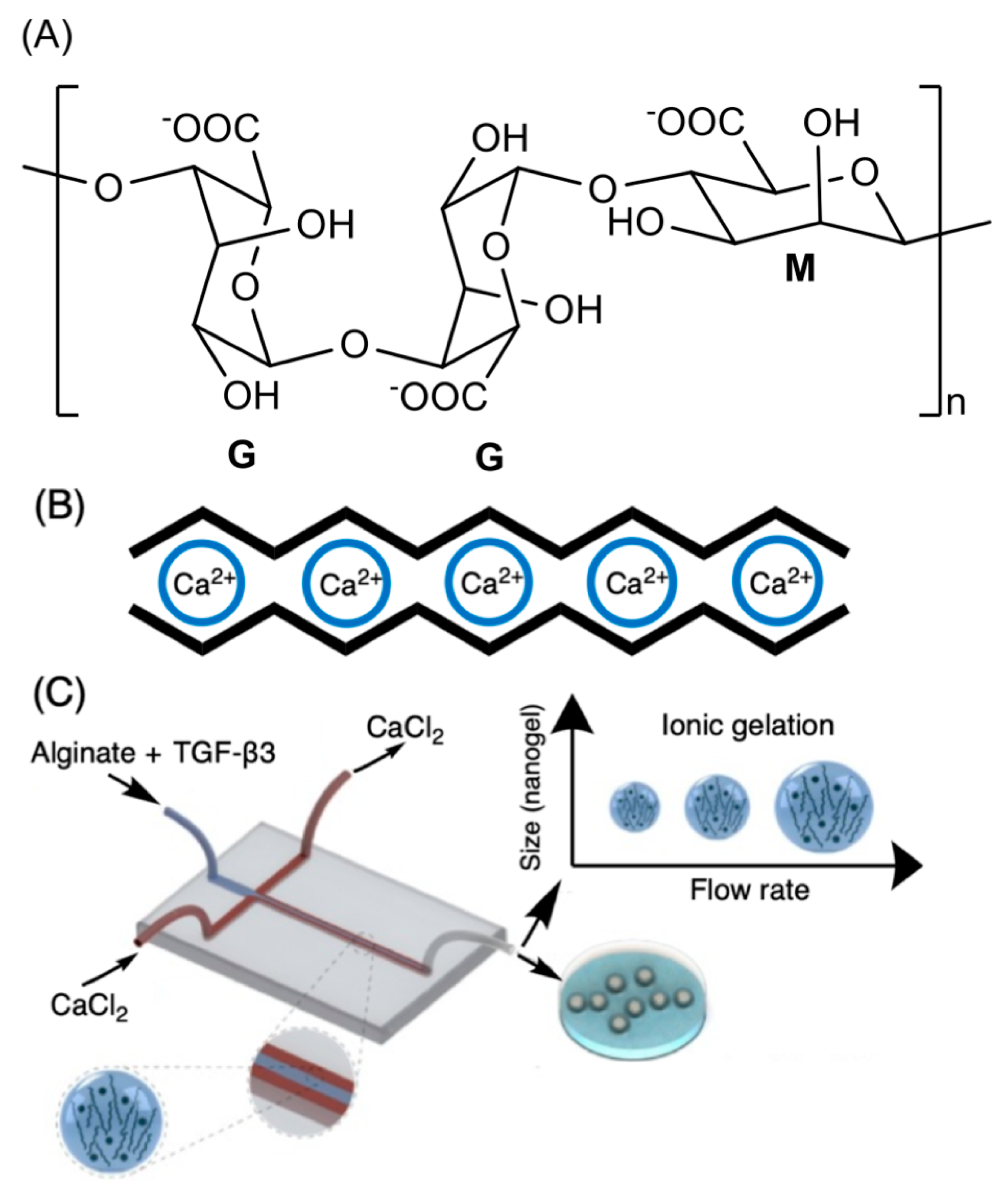 Pharmaceutics 13 00621 g004