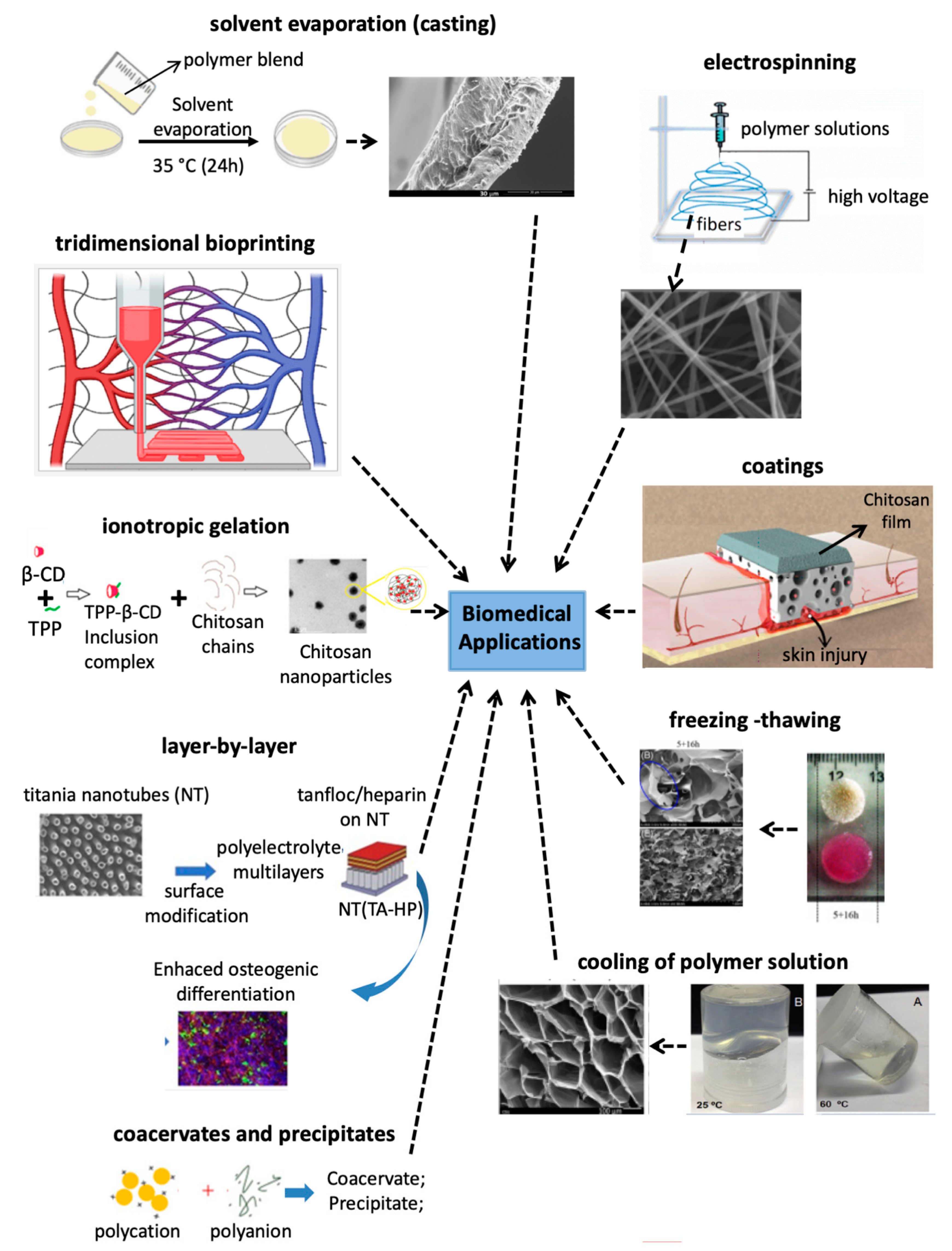 Pharmaceutics 13 00621 g008