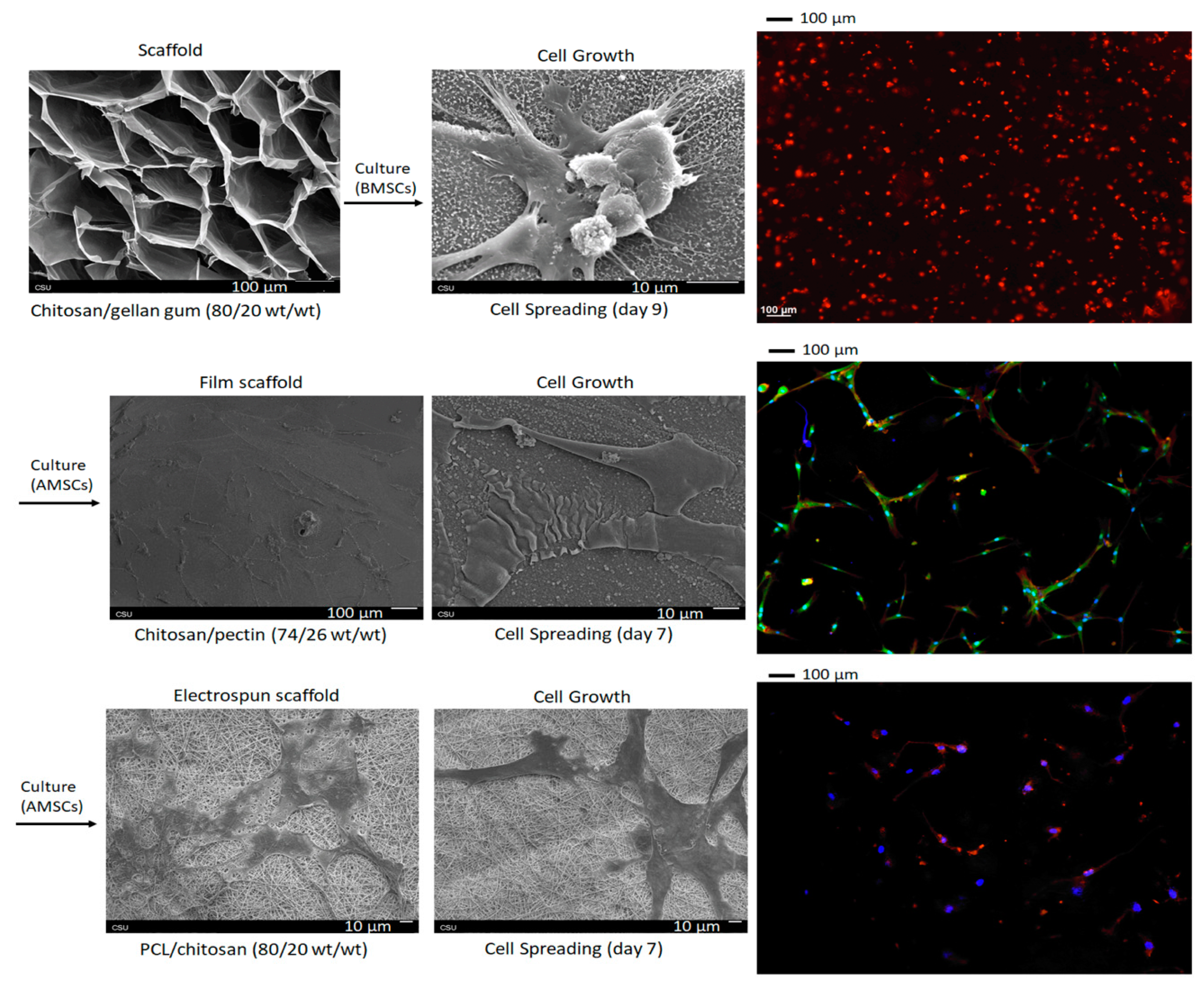 Pharmaceutics 13 00621 g009