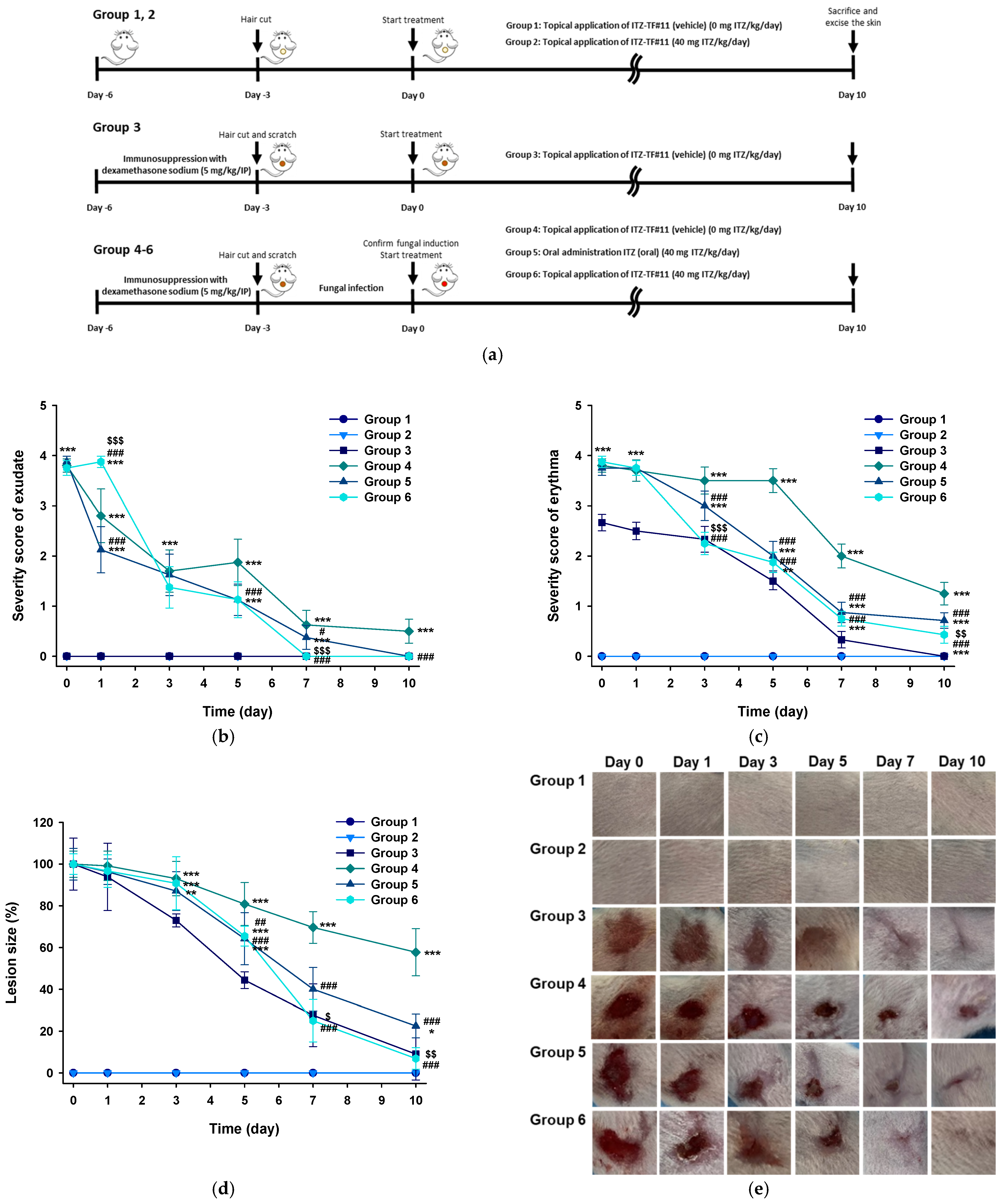 Pharmaceutics 13 00622 g003