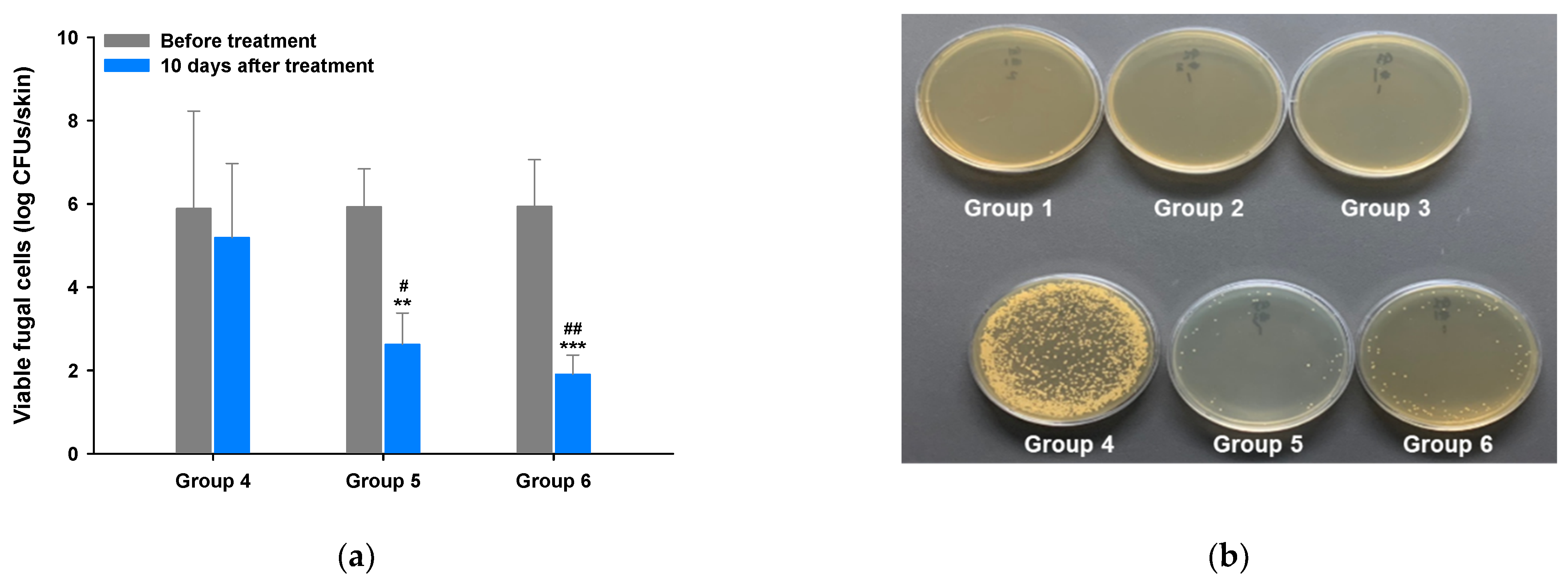 Pharmaceutics 13 00622 g004