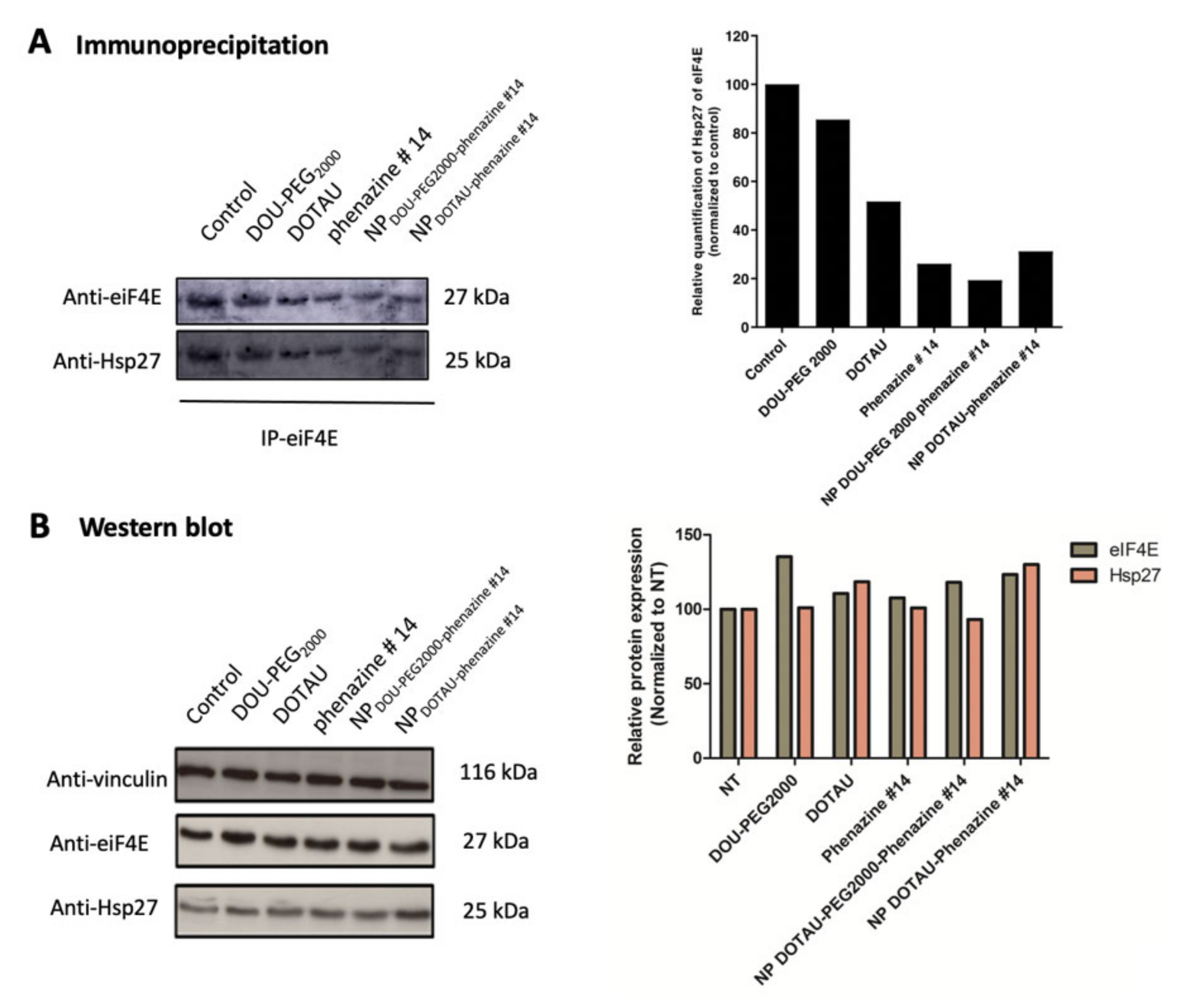 Pharmaceutics 13 00623 g002 Pharmaceutics 13 00623 g002