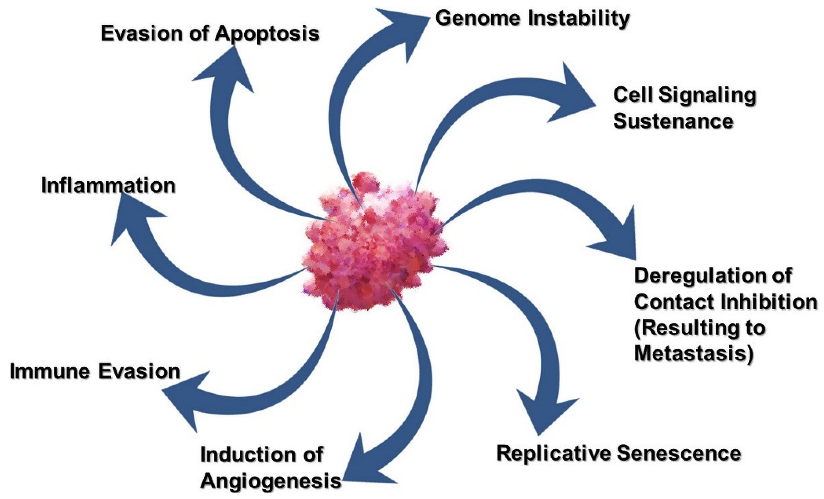 Pharmaceutics | Free Full-Text | Biological Therapy with 
