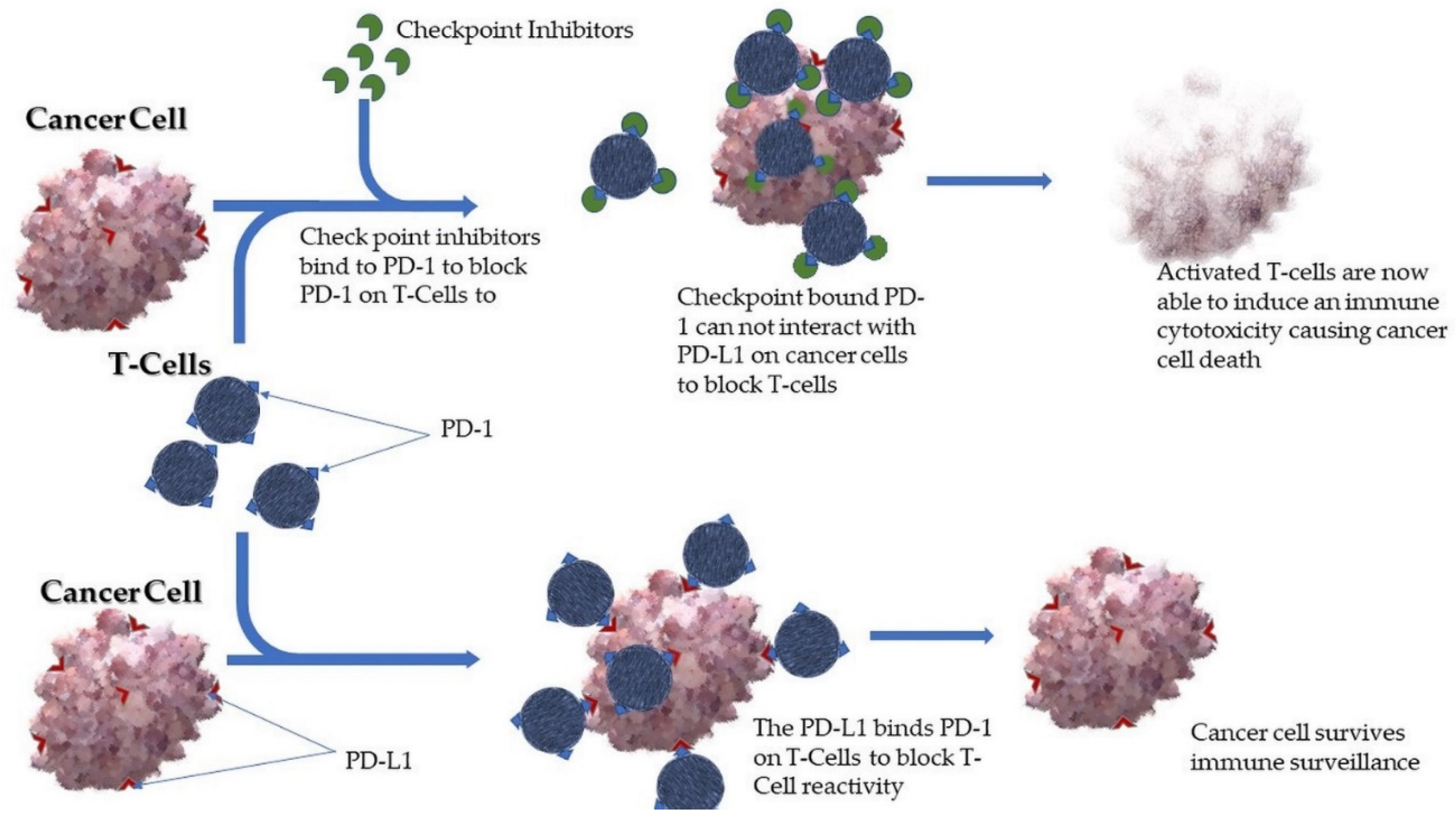 Pharmaceutics 13 00626 g003