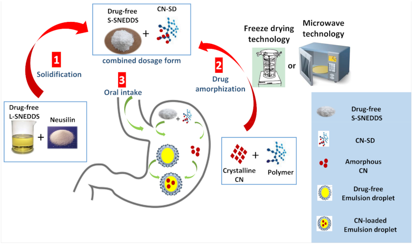 Pharmaceutics 13 00627 g001 Pharmaceutics 13 00627 g001