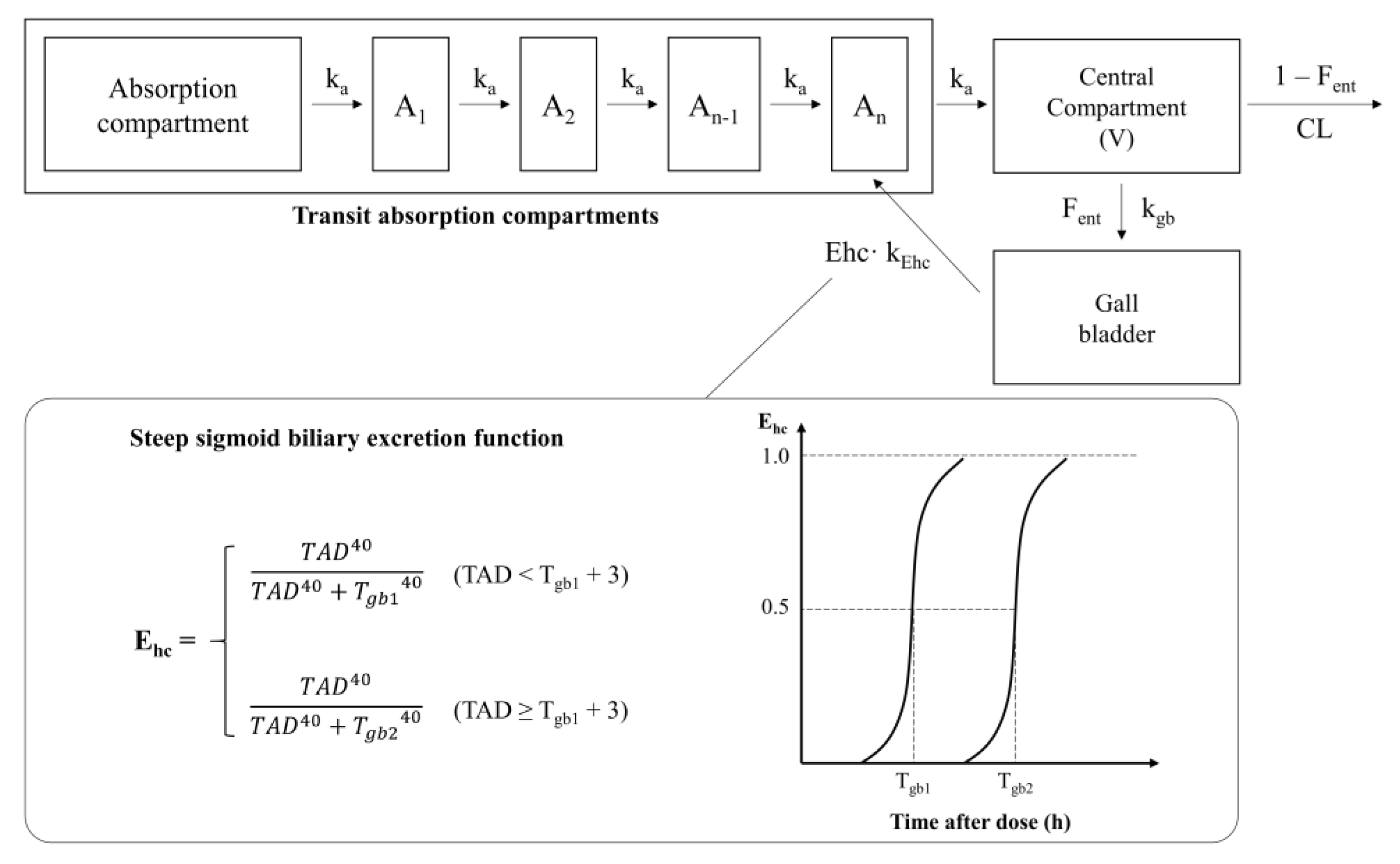 Pharmaceutics 13 00629 g003 Pharmaceutics 13 00629 g003